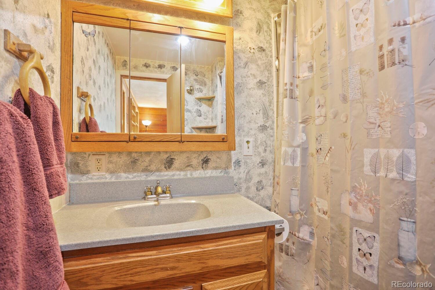 MLS Image #15 for 1006  county road 72 ,bailey, Colorado