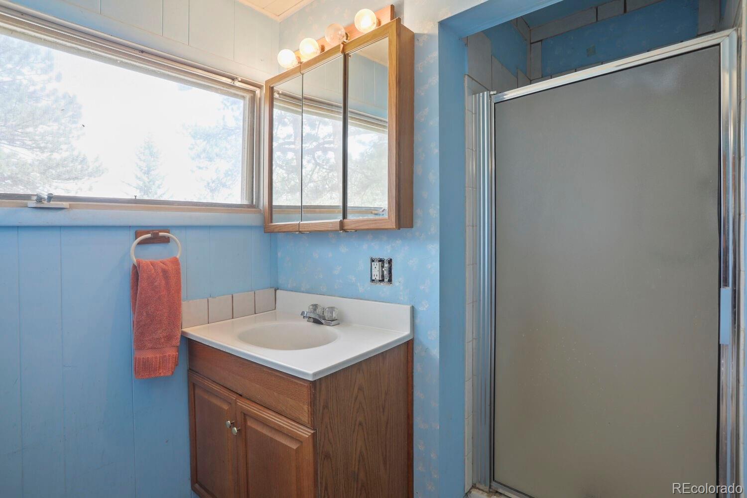 MLS Image #19 for 1006  county road 72 ,bailey, Colorado