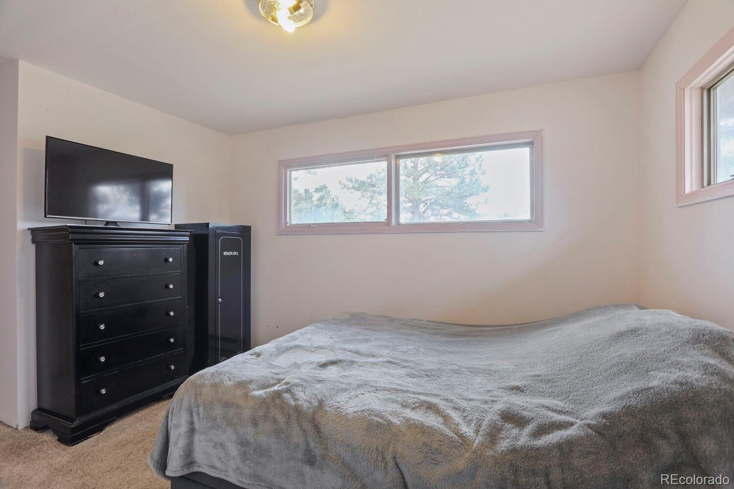 MLS Image #21 for 1006  county road 72 ,bailey, Colorado