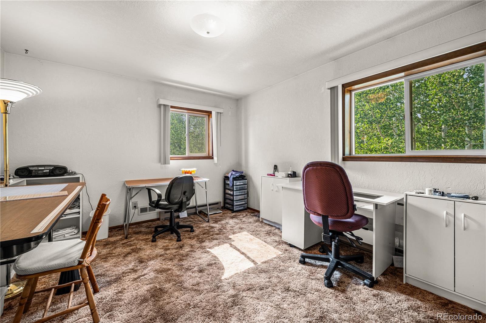 MLS Image #16 for 206  little horn road,westcliffe, Colorado