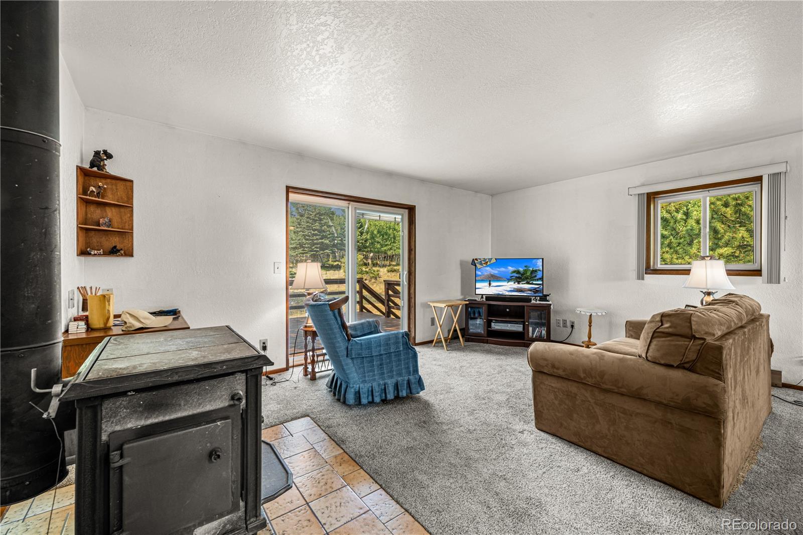 MLS Image #5 for 206  little horn road,westcliffe, Colorado