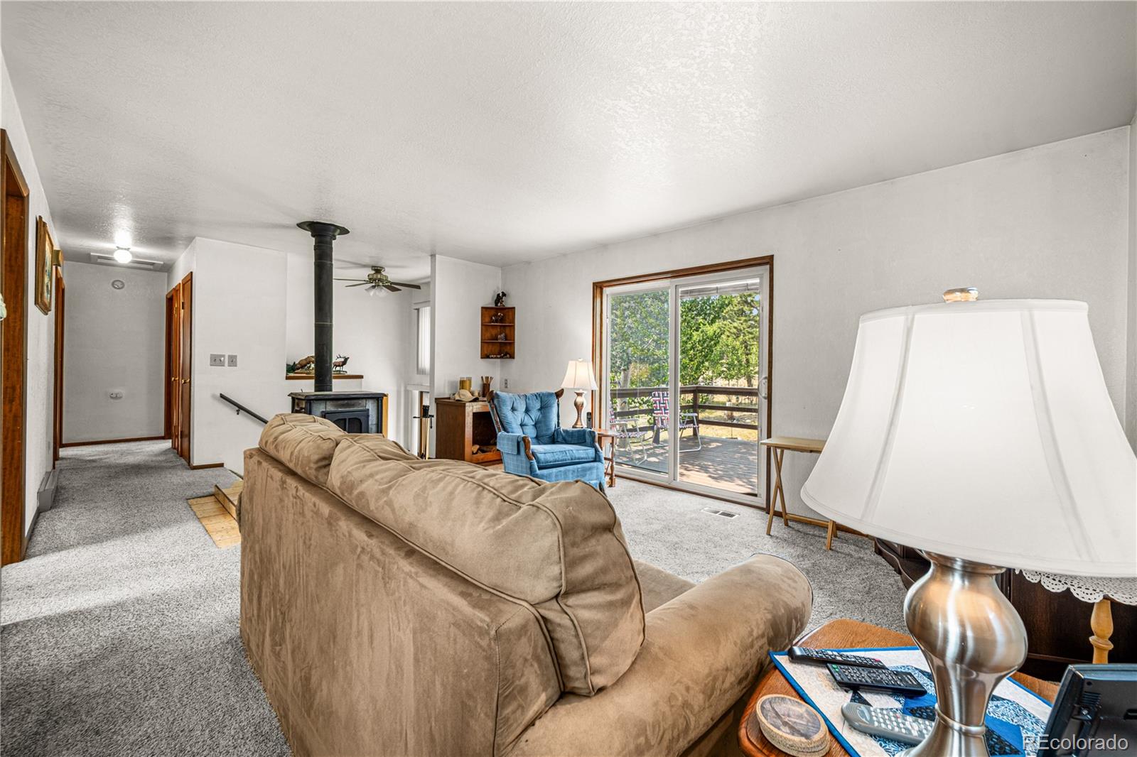 MLS Image #6 for 206  little horn road,westcliffe, Colorado
