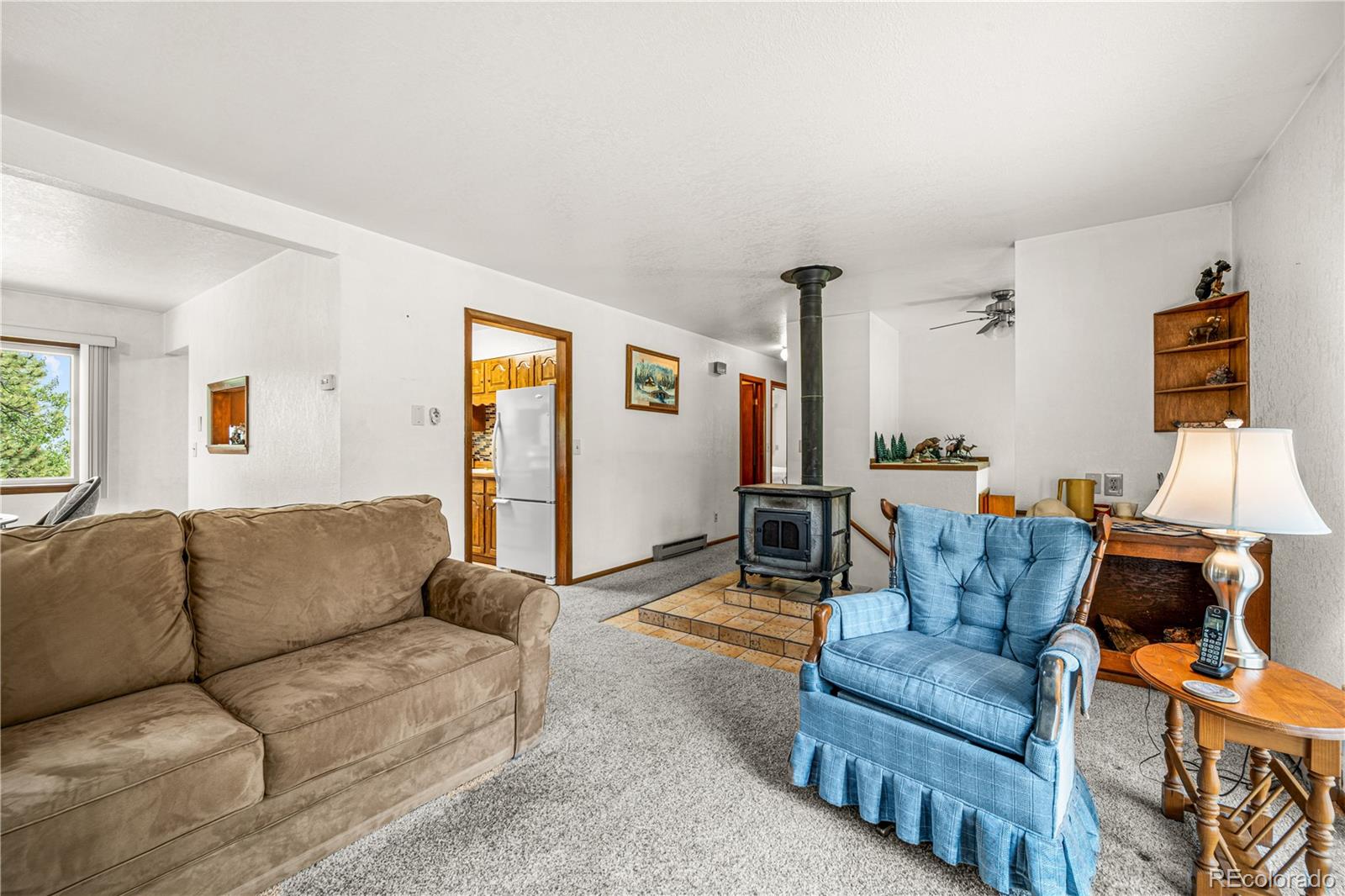 MLS Image #7 for 206  little horn road,westcliffe, Colorado