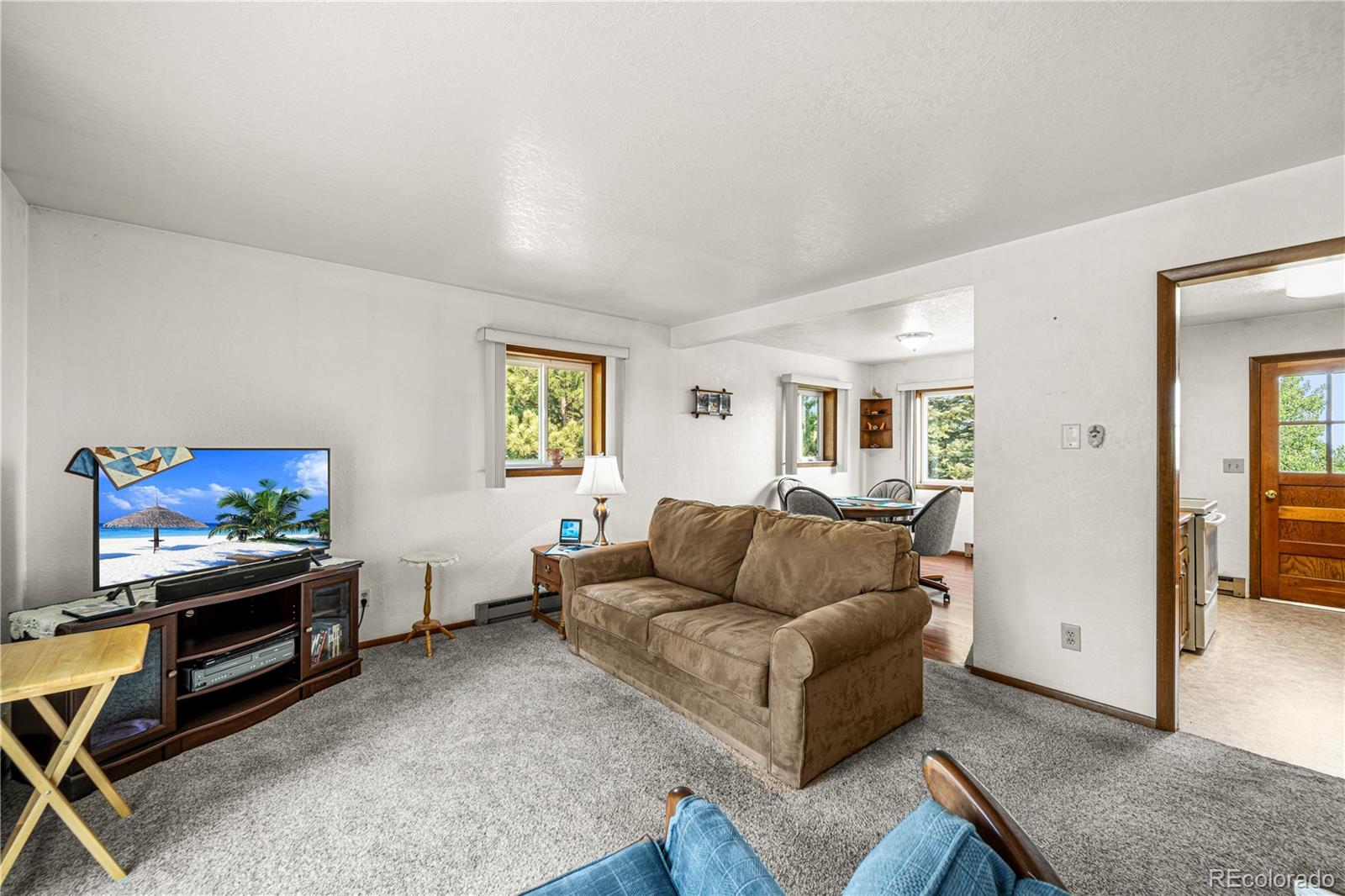 MLS Image #8 for 206  little horn road,westcliffe, Colorado
