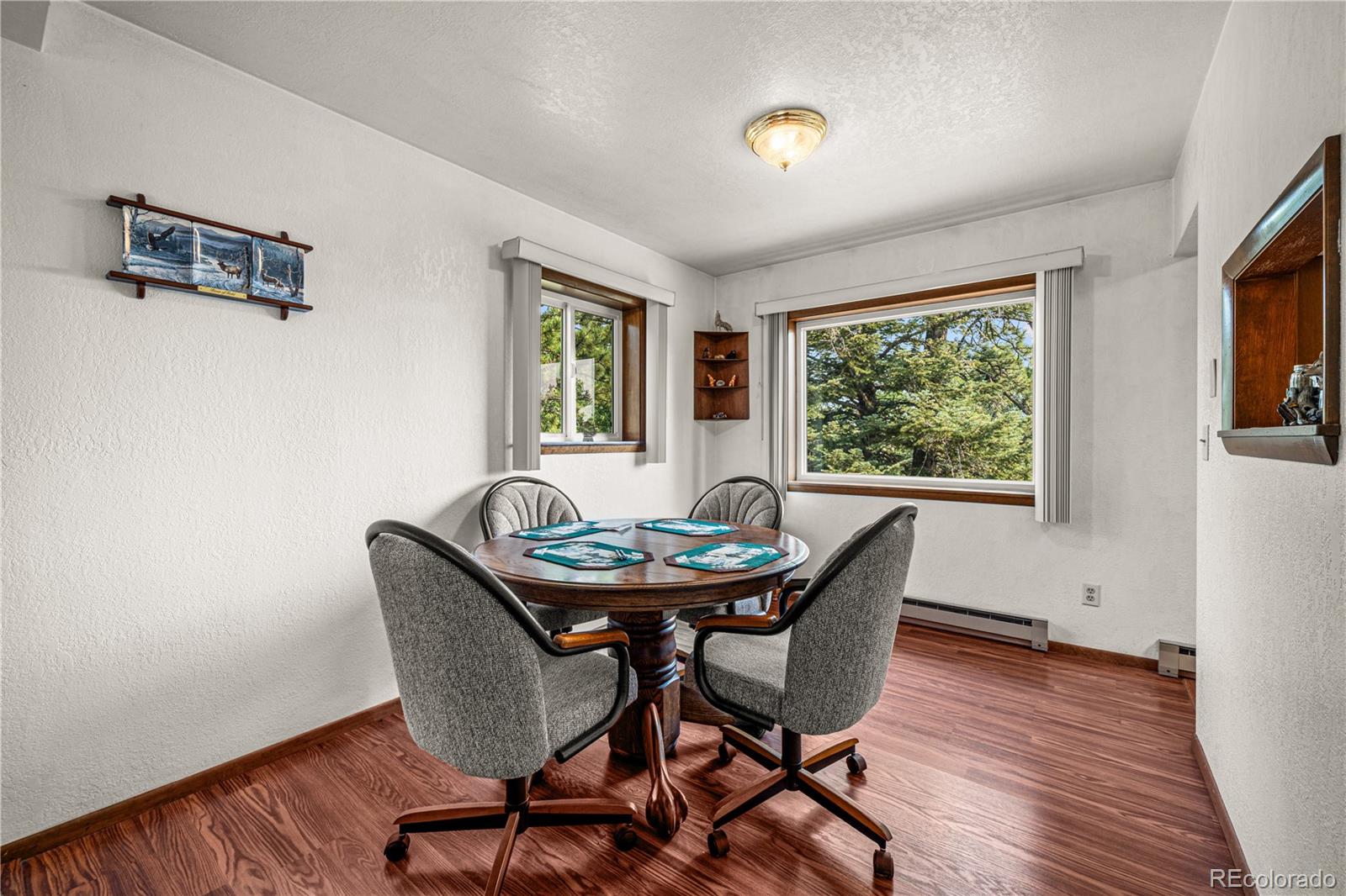 MLS Image #9 for 206  little horn road,westcliffe, Colorado