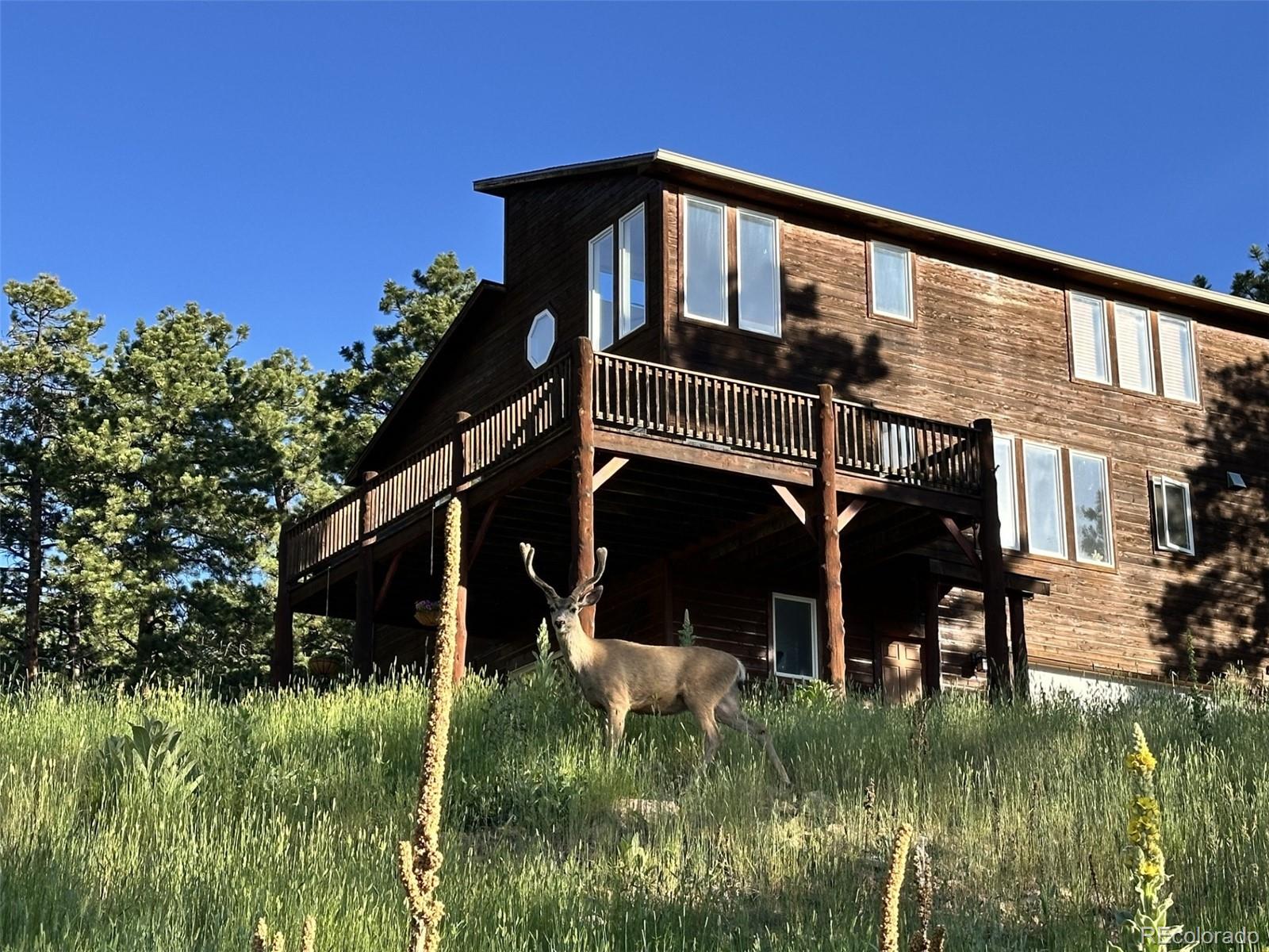 MLS Image #5 for 11743  hillcrest road,golden, Colorado