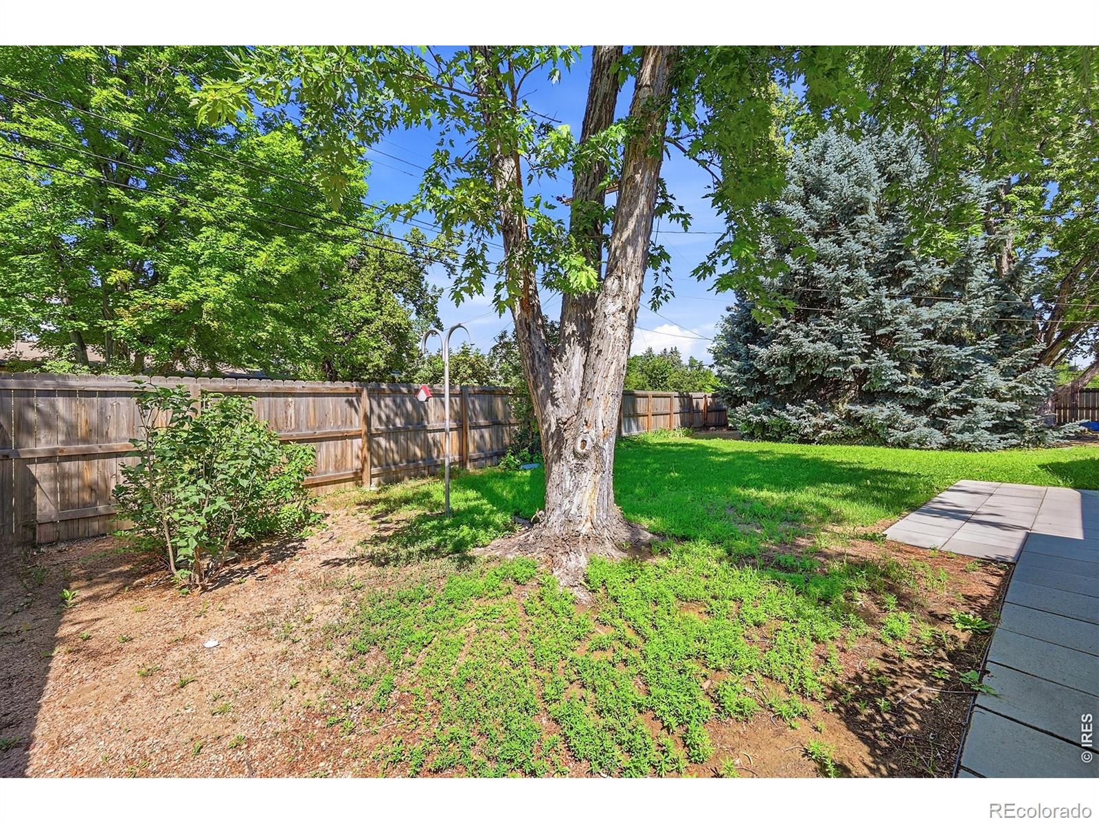 MLS Image #8 for 1843  jewel drive,longmont, Colorado