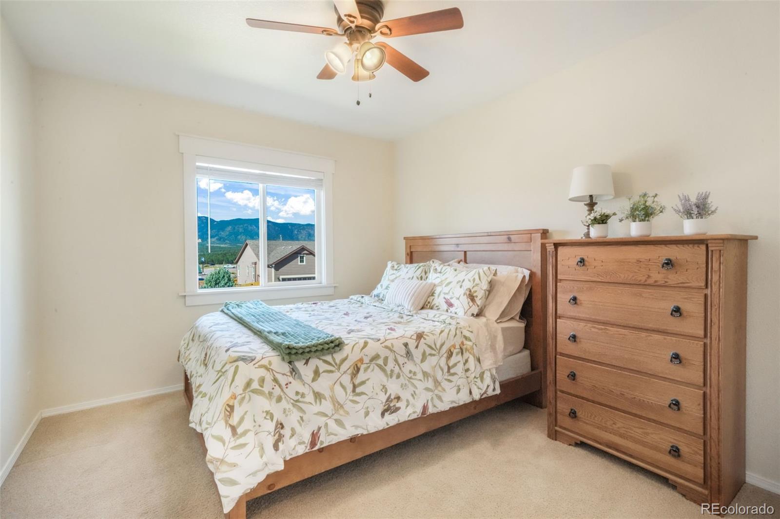 MLS Image #29 for 14677  allegiance drive,colorado springs, Colorado