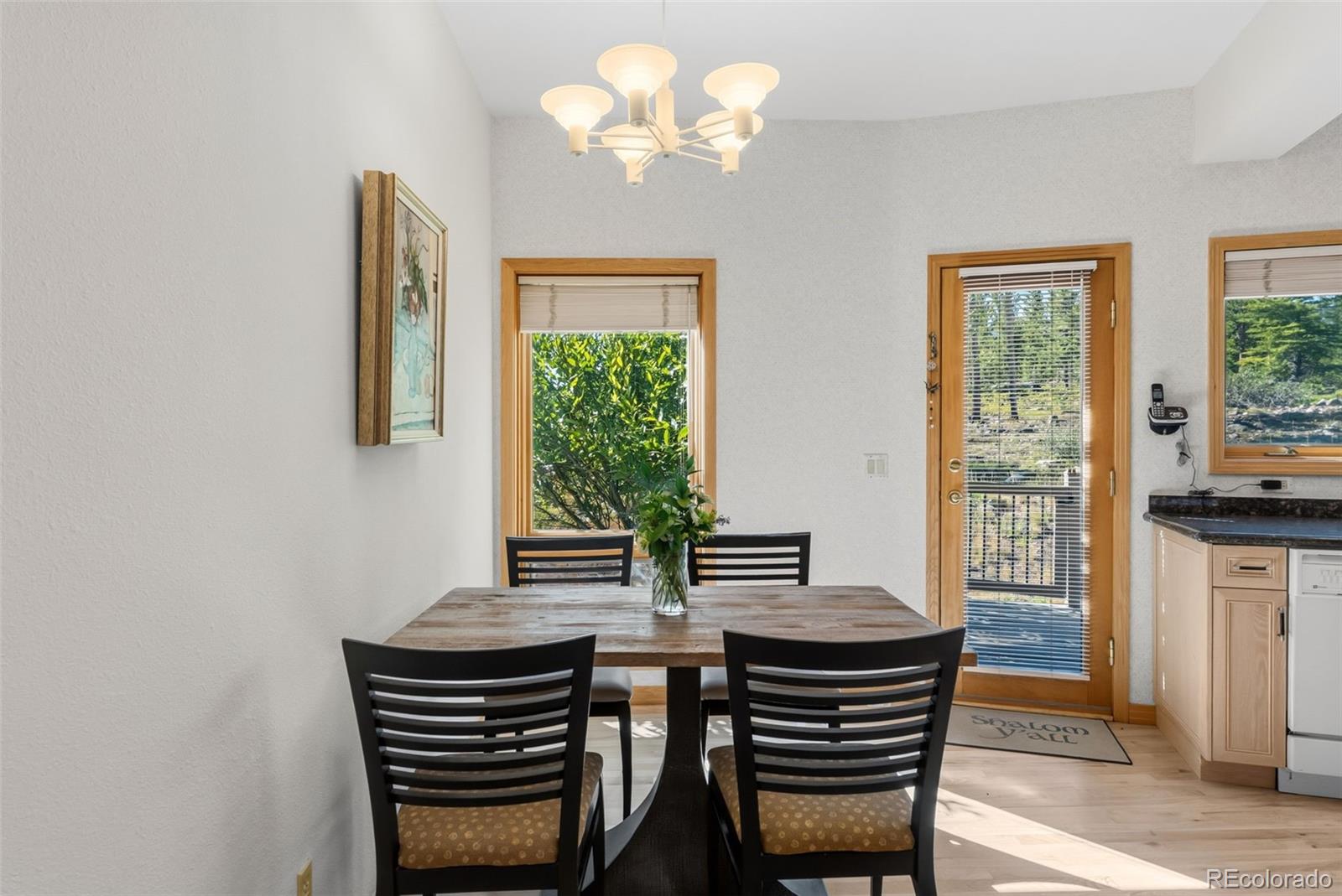 MLS Image #17 for 1165  emerald road,silverthorne, Colorado