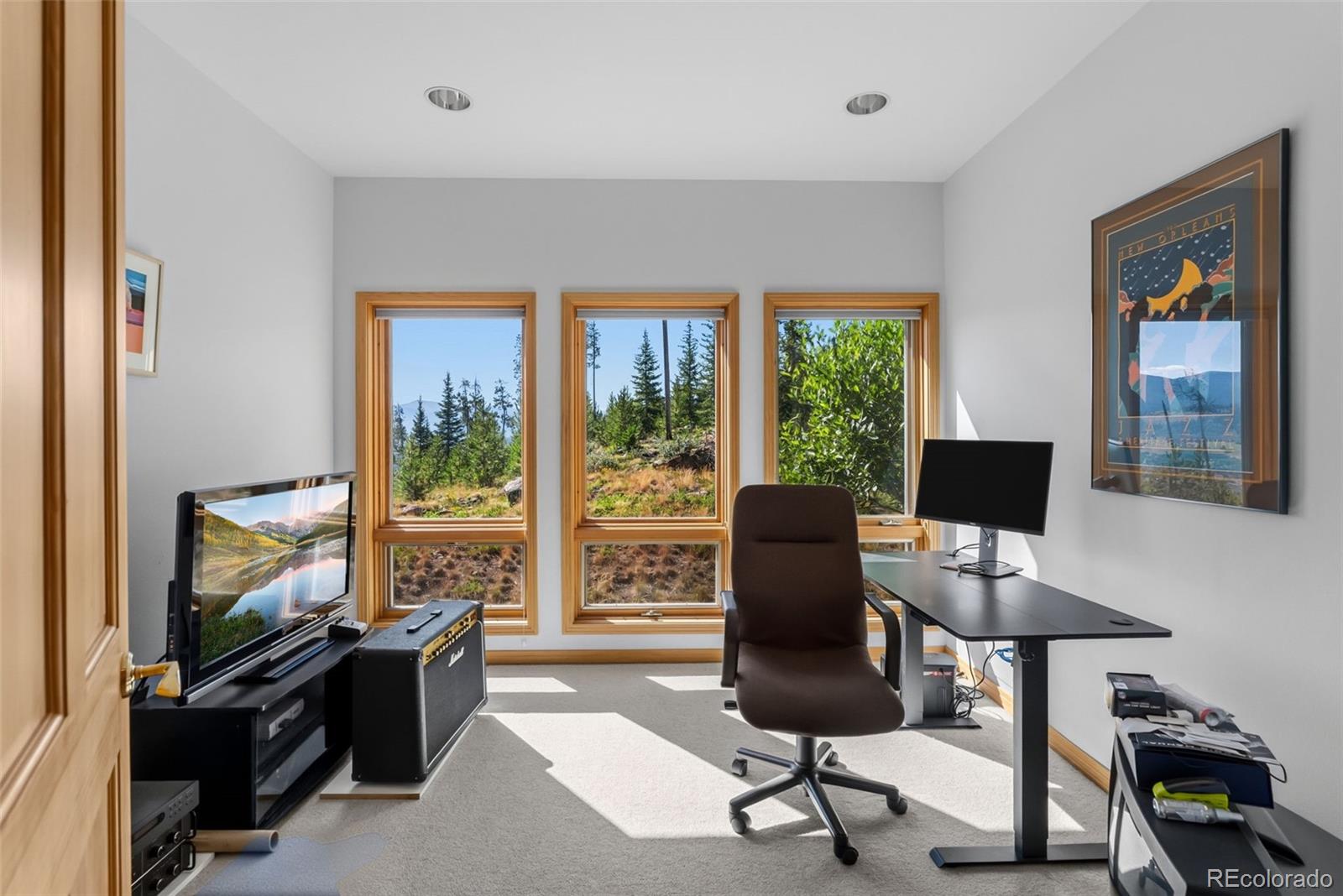 MLS Image #19 for 1165  emerald road,silverthorne, Colorado