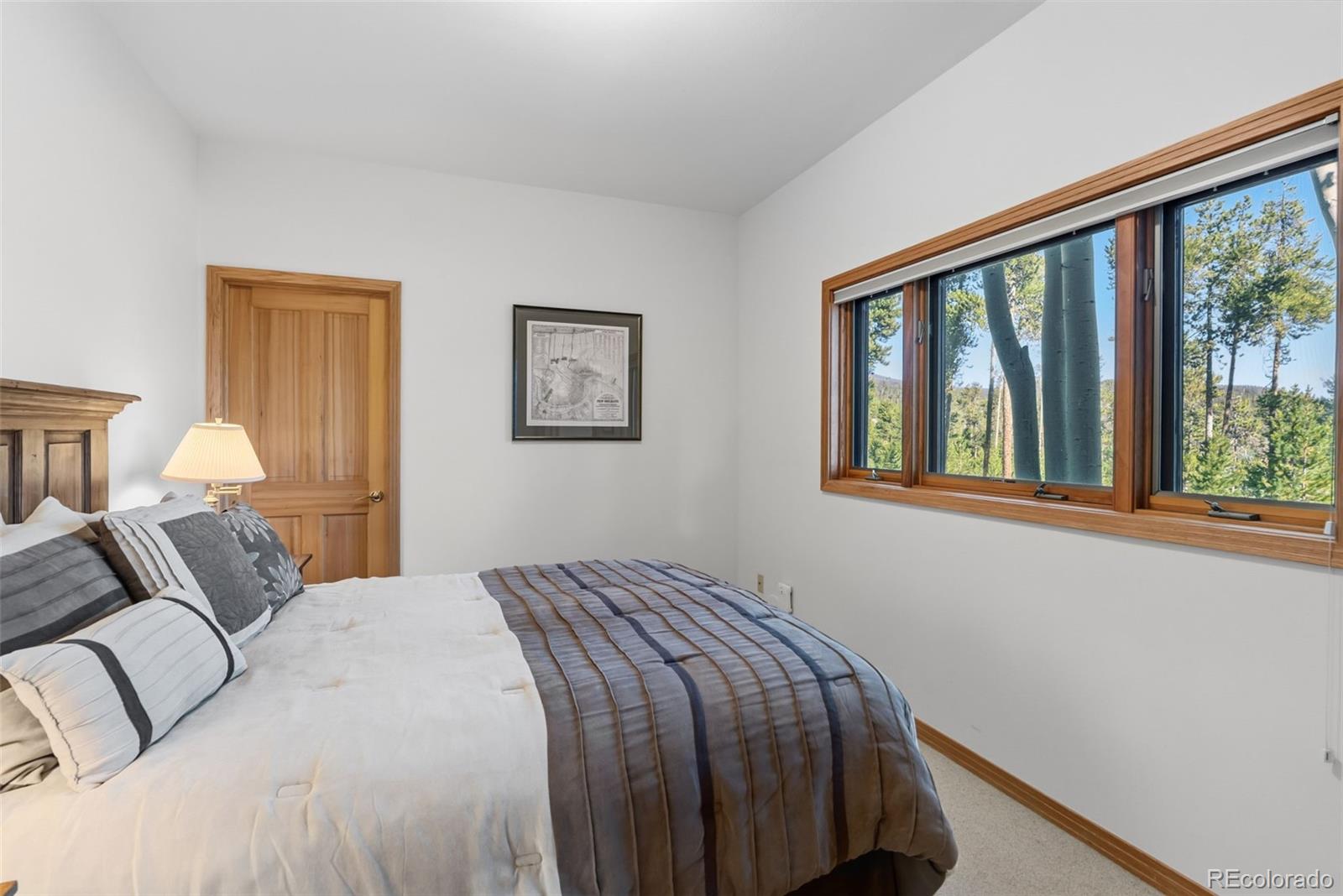 MLS Image #23 for 1165  emerald road,silverthorne, Colorado