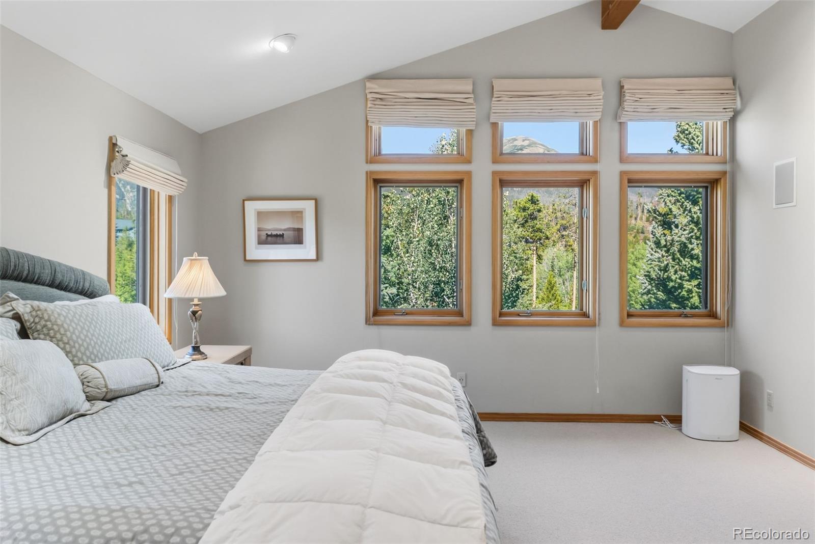 MLS Image #27 for 1165  emerald road,silverthorne, Colorado