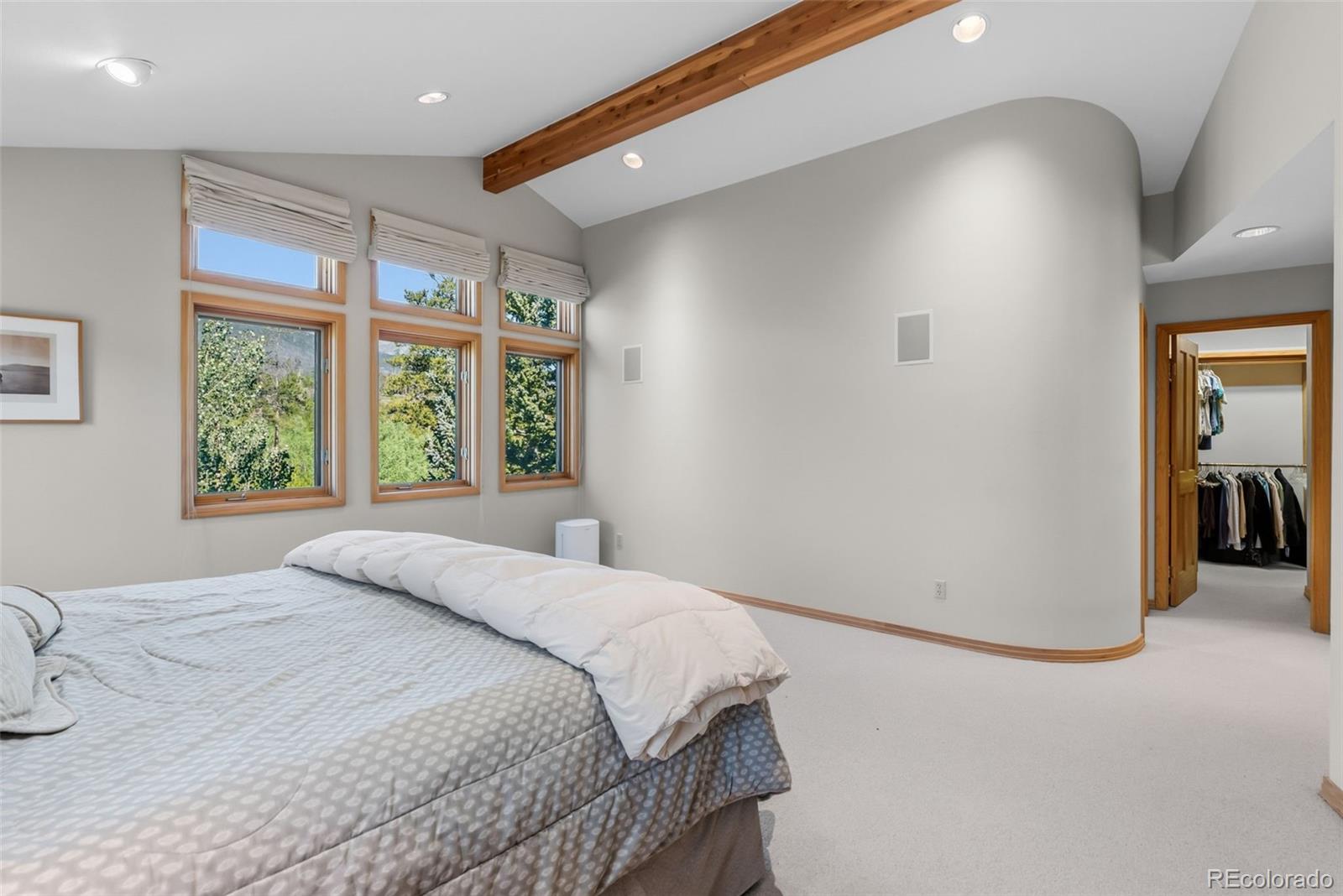 MLS Image #29 for 1165  emerald road,silverthorne, Colorado