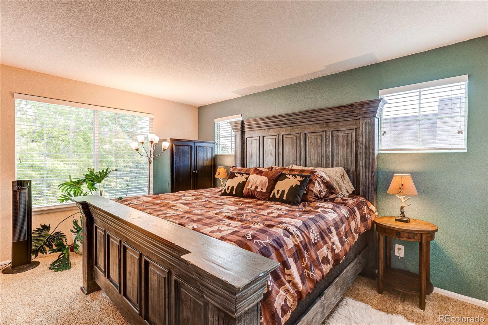 MLS Image #16 for 187  apache plume court,brighton, Colorado