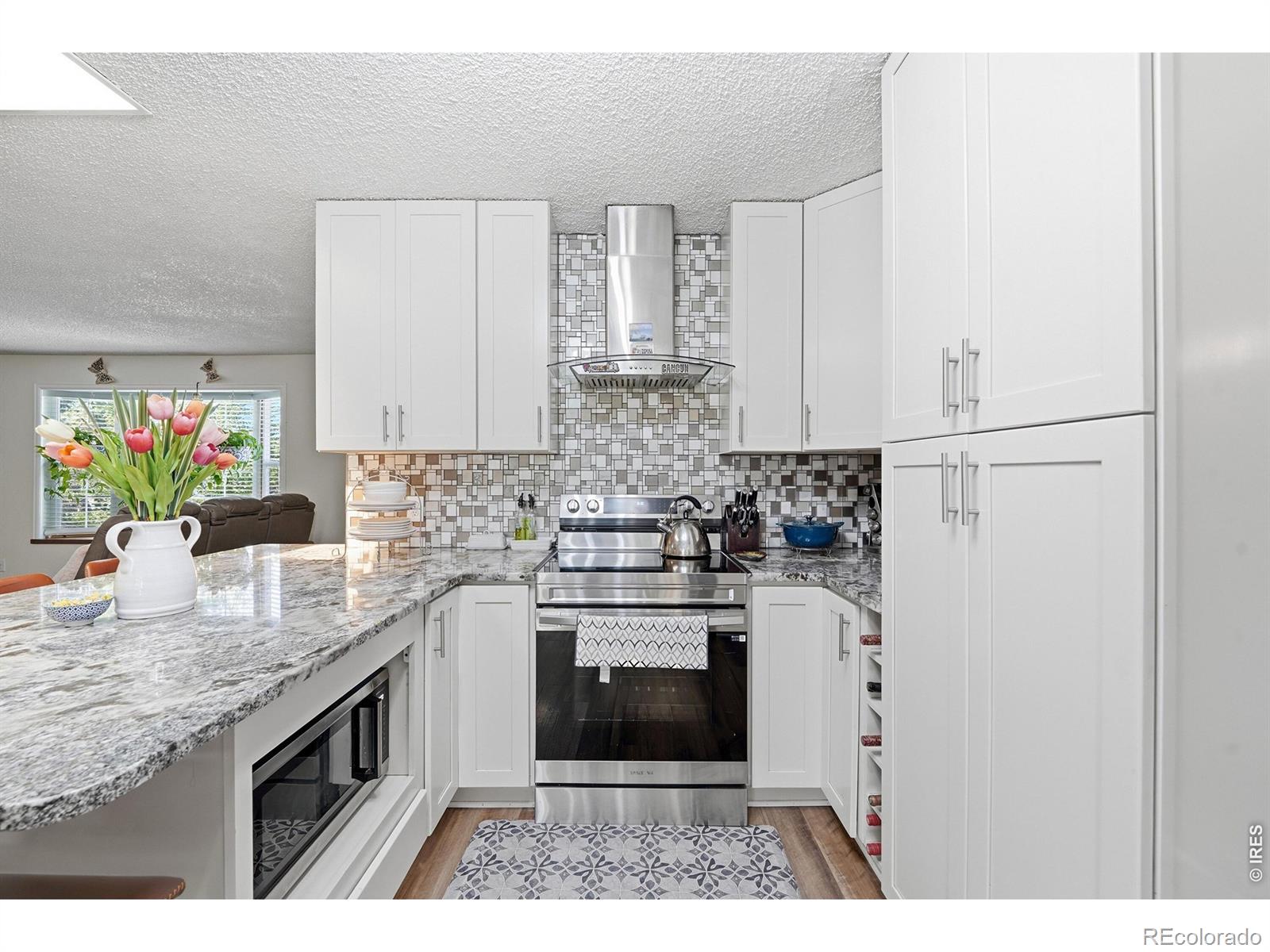 MLS Image #5 for 12822 n 95th street,longmont, Colorado