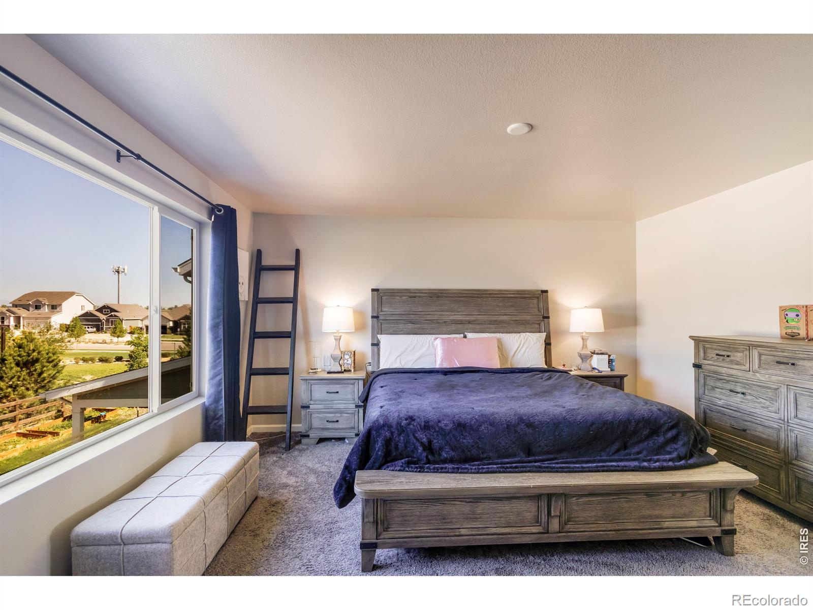 MLS Image #15 for 16733  beaumont boulevard,mead, Colorado