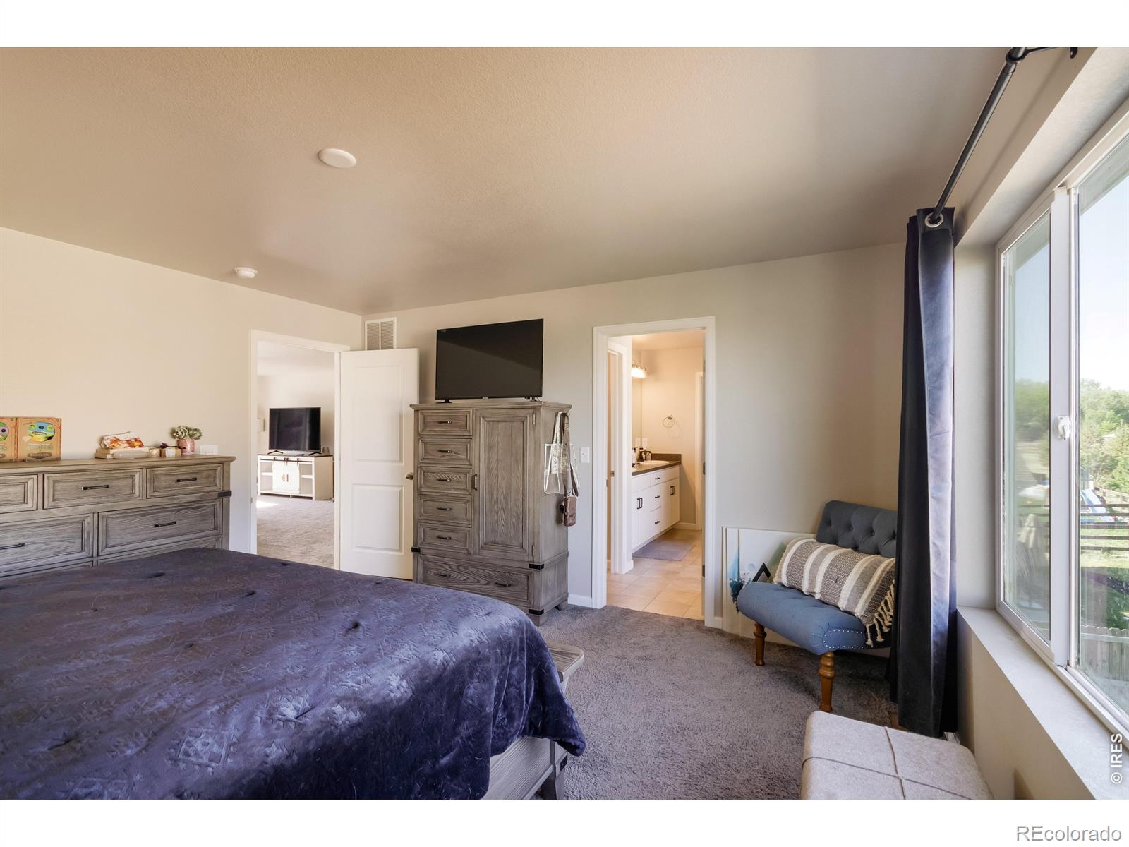 MLS Image #16 for 16733  beaumont boulevard,mead, Colorado