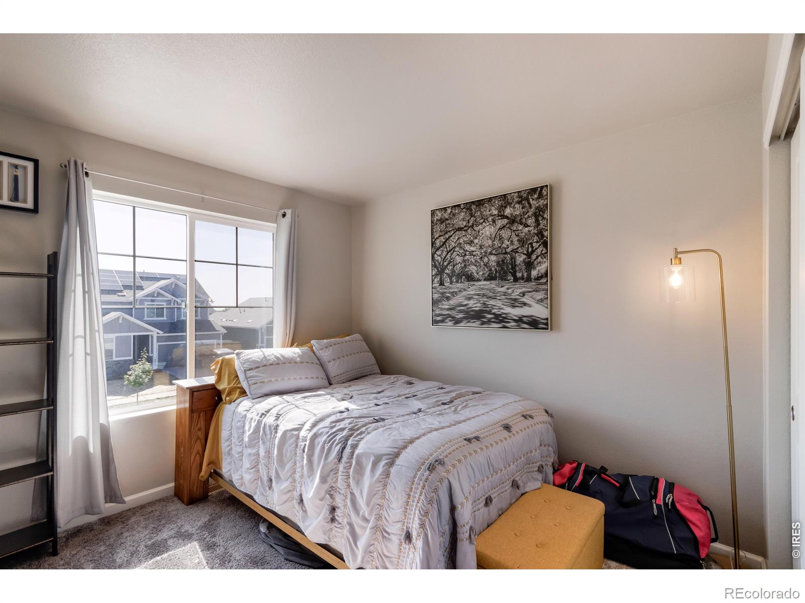 MLS Image #19 for 16733  beaumont boulevard,mead, Colorado