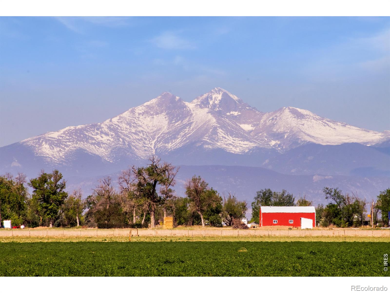 MLS Image #24 for 16733  beaumont boulevard,mead, Colorado