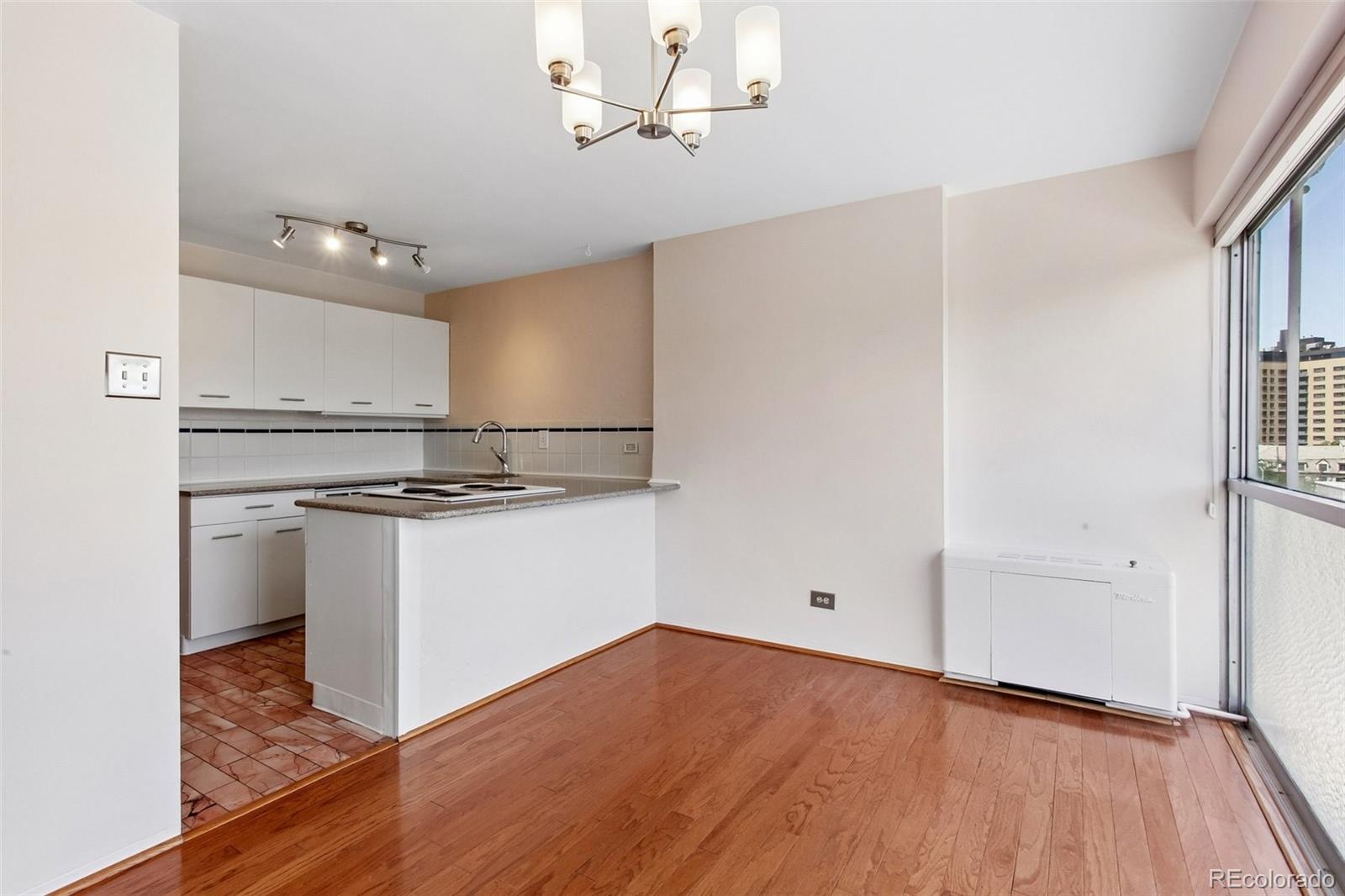 MLS Image #9 for 888 n logan street,denver, Colorado