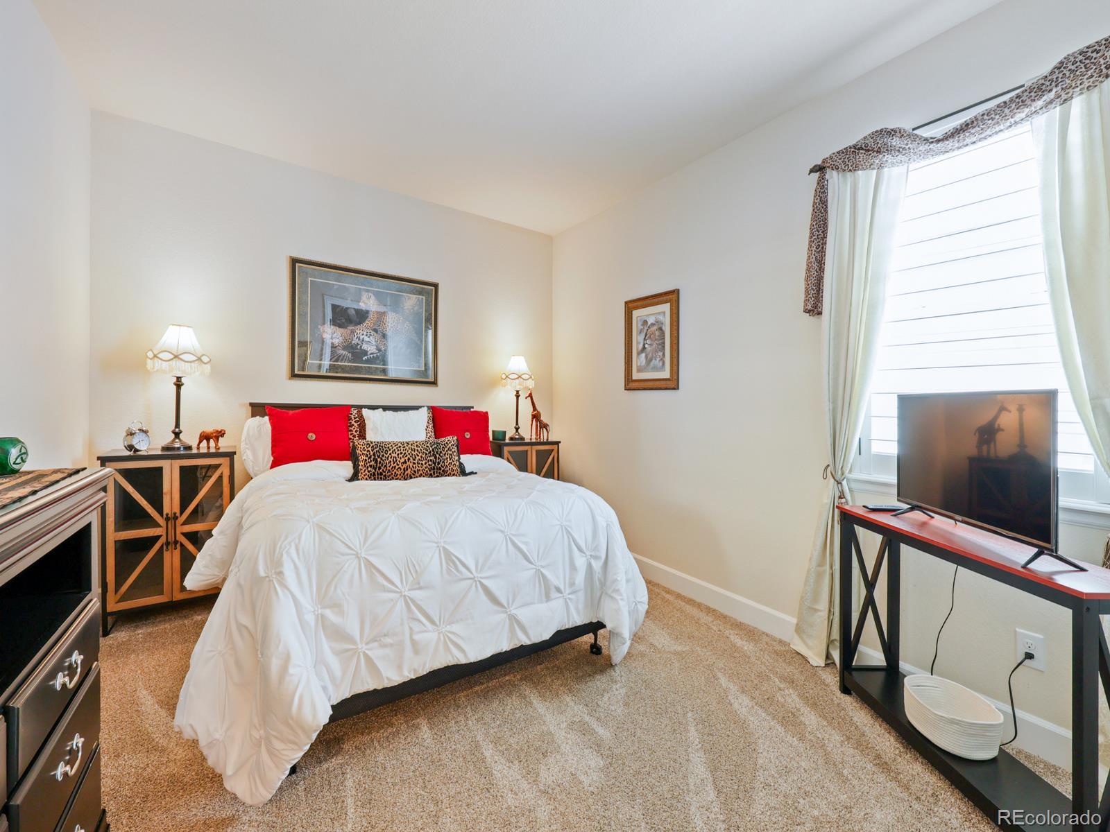 MLS Image #19 for 6568  leilani lane,castle rock, Colorado