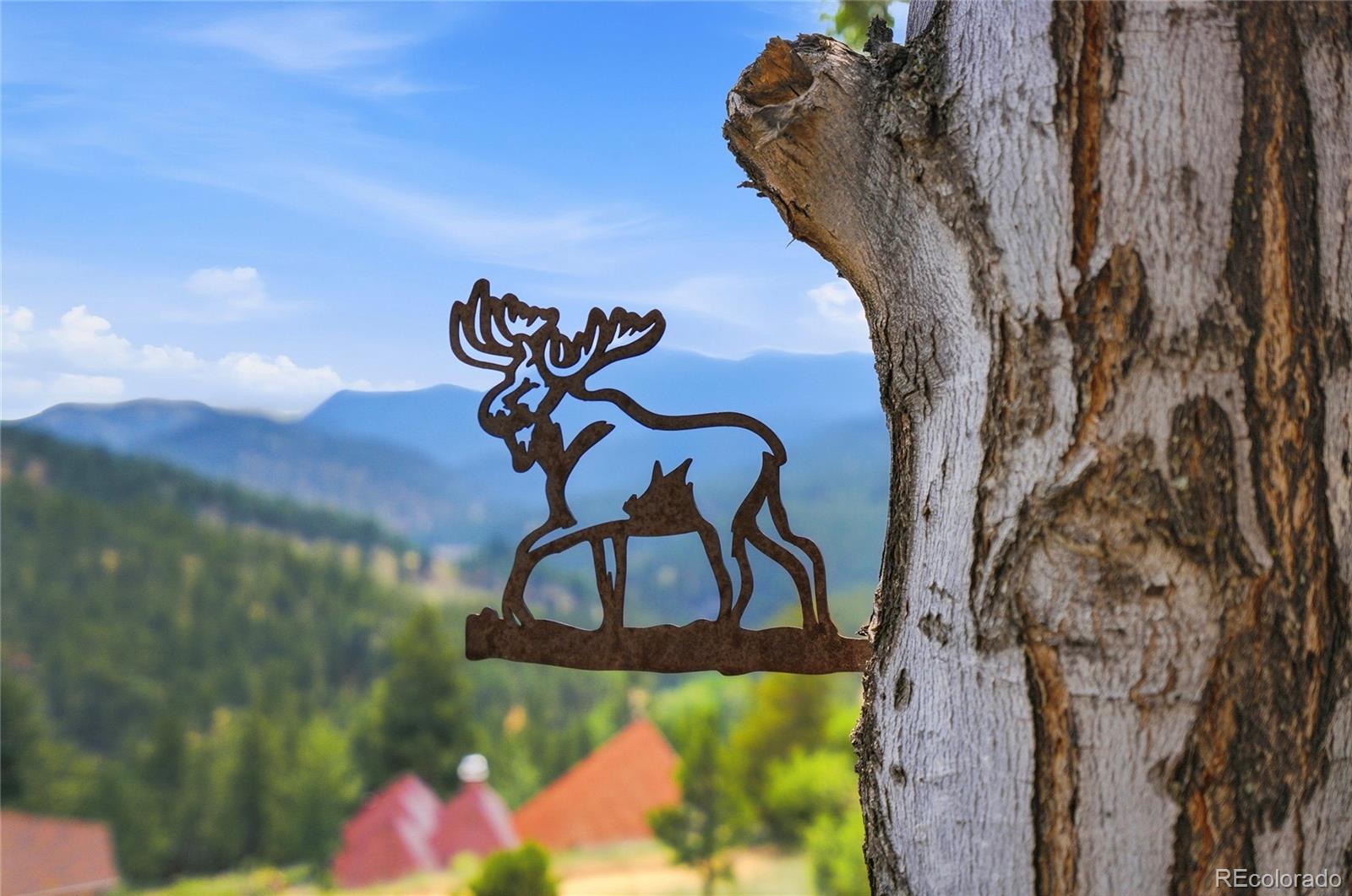 MLS Image #4 for 16  camino bosque ,boulder, Colorado
