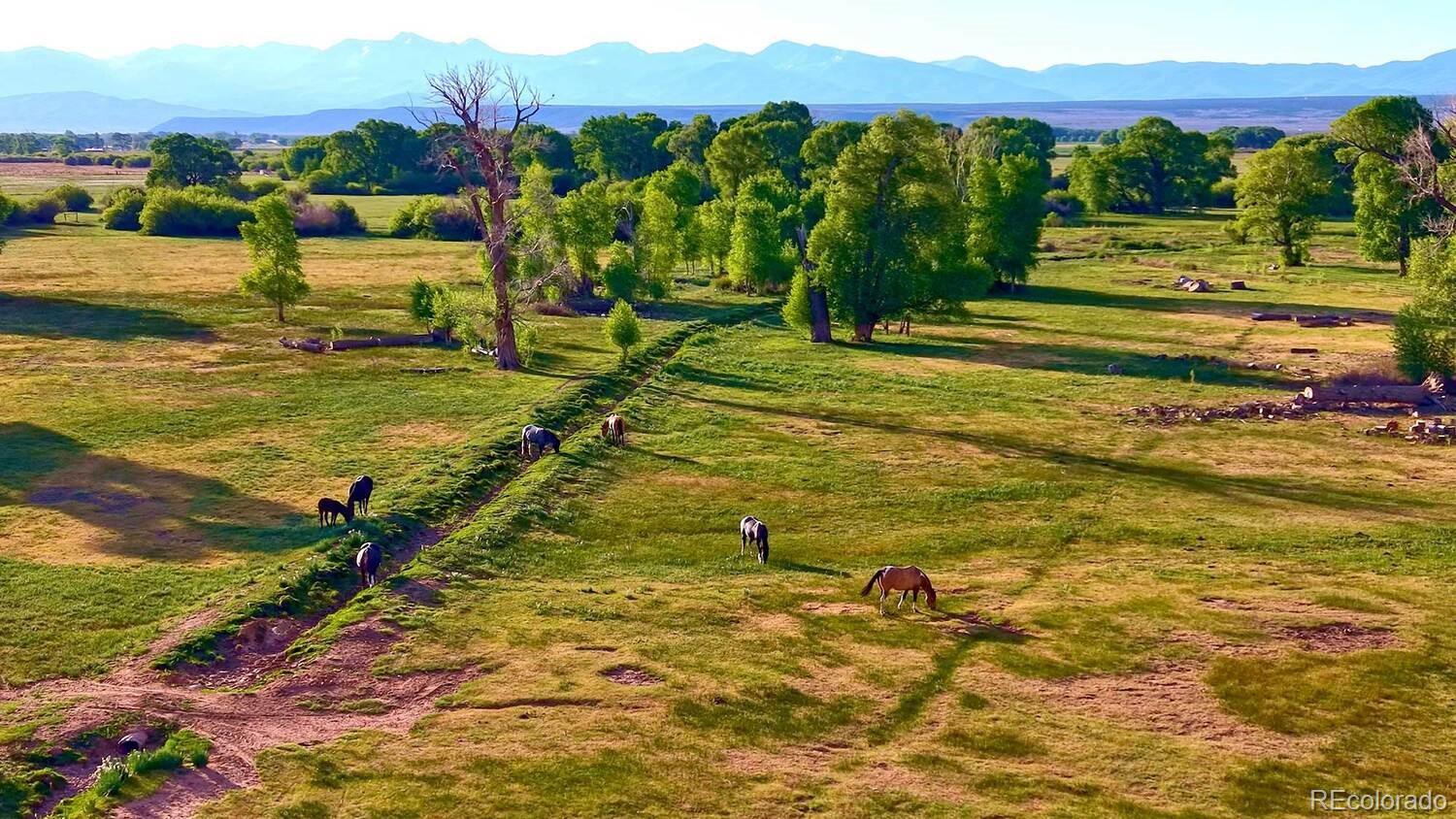 MLS Image #26 for 12525  county r.5 road,san acacio, Colorado