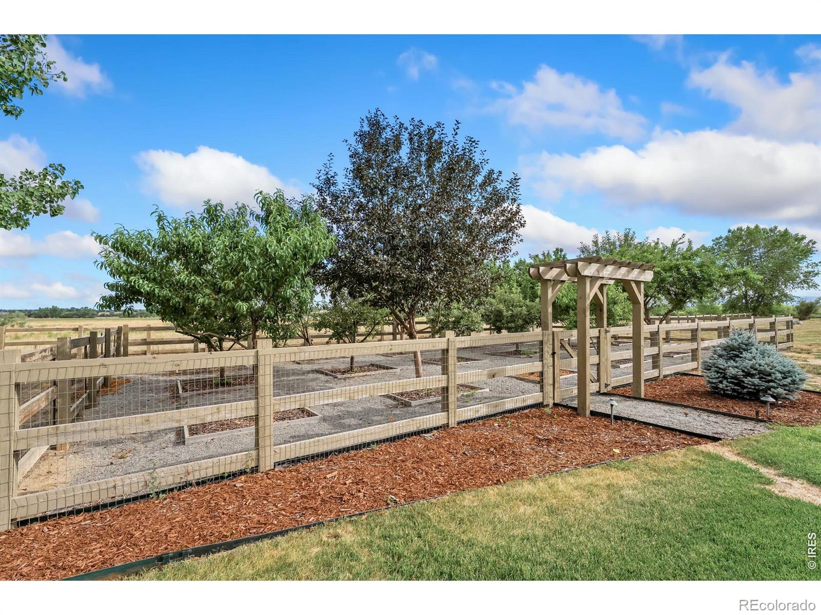 MLS Image #38 for 6558  rookery road,fort collins, Colorado