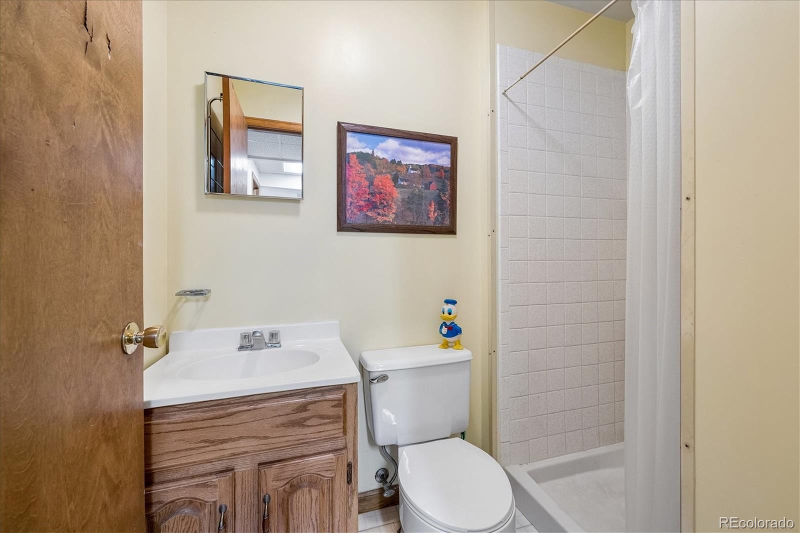 MLS Image #20 for 9000 w tanforan drive,littleton, Colorado