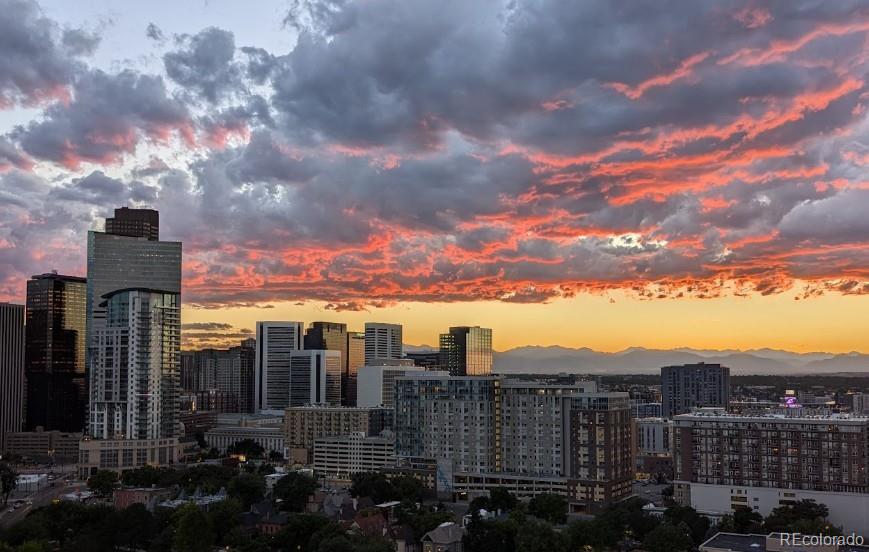 MLS Image #15 for 100  park avenue 1703,denver, Colorado