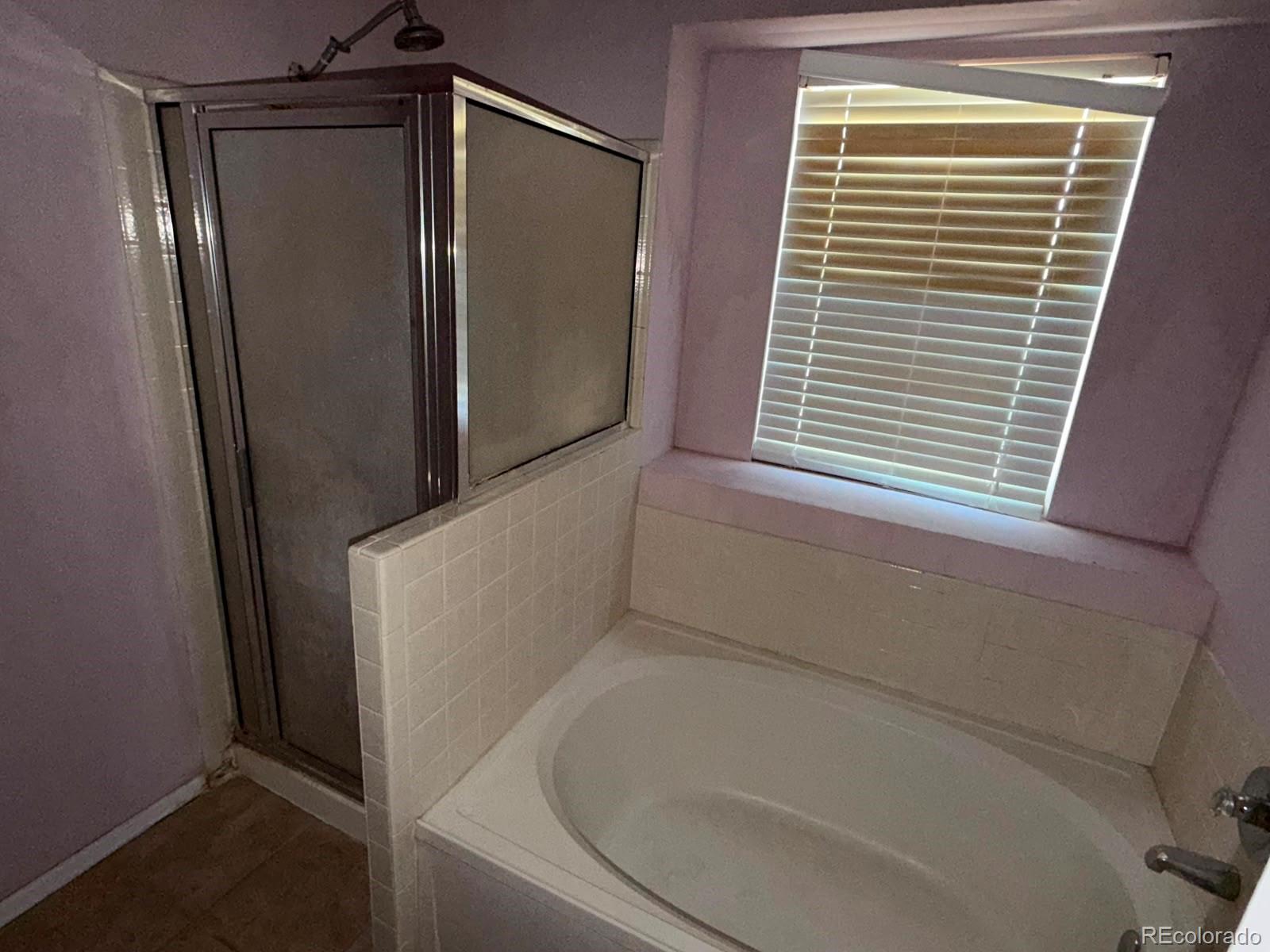 MLS Image #10 for 10409  strasburg way,parker, Colorado