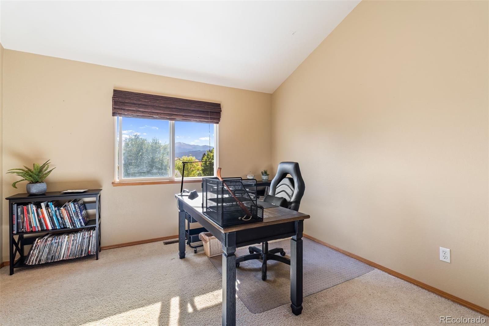 MLS Image #28 for 2631  emerald ridge drive,colorado springs, Colorado