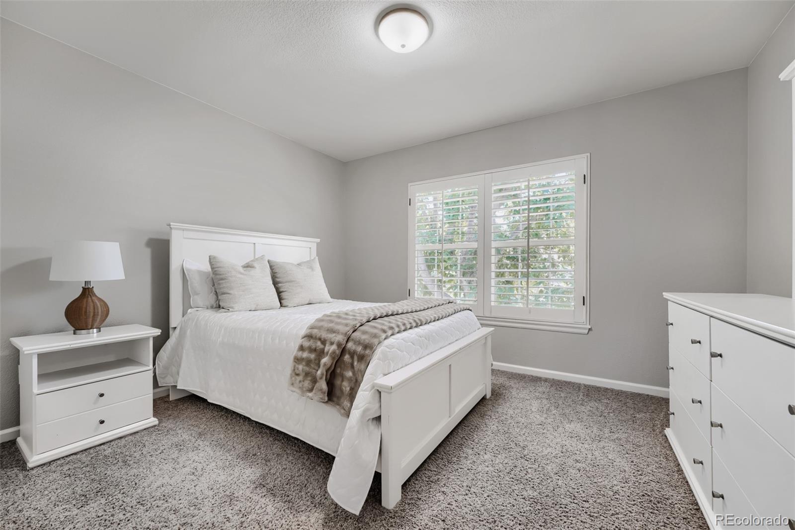 MLS Image #18 for 10449  white pine drive,parker, Colorado