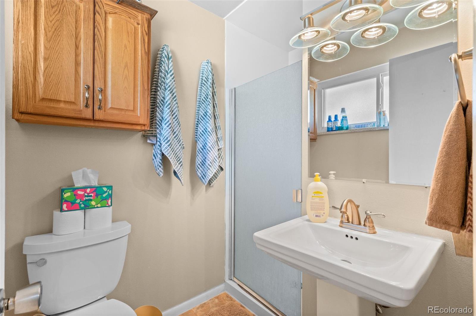 MLS Image #22 for 2896 e euclid place,centennial, Colorado