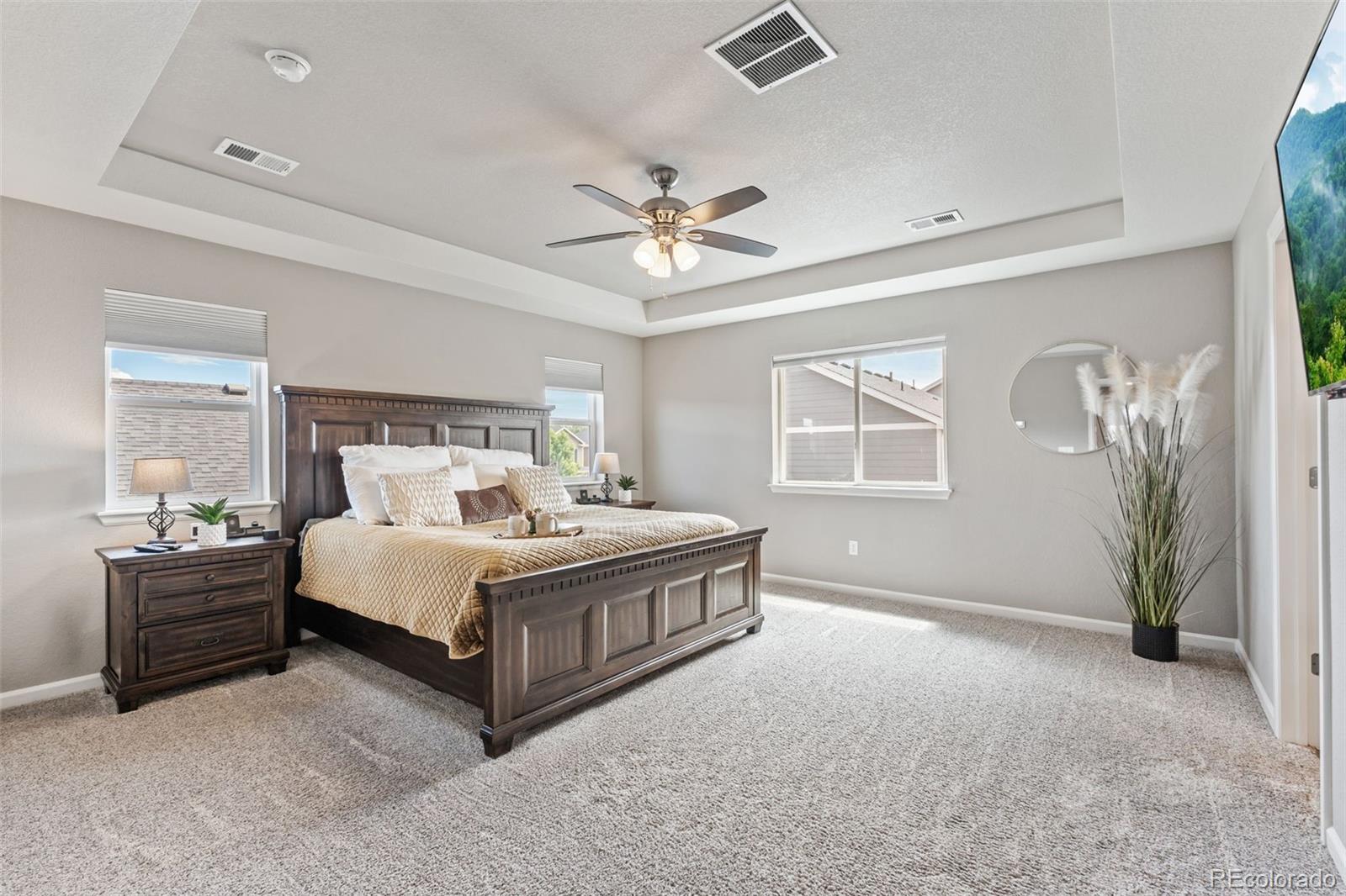 MLS Image #10 for 1414  castle creek circle,castle rock, Colorado