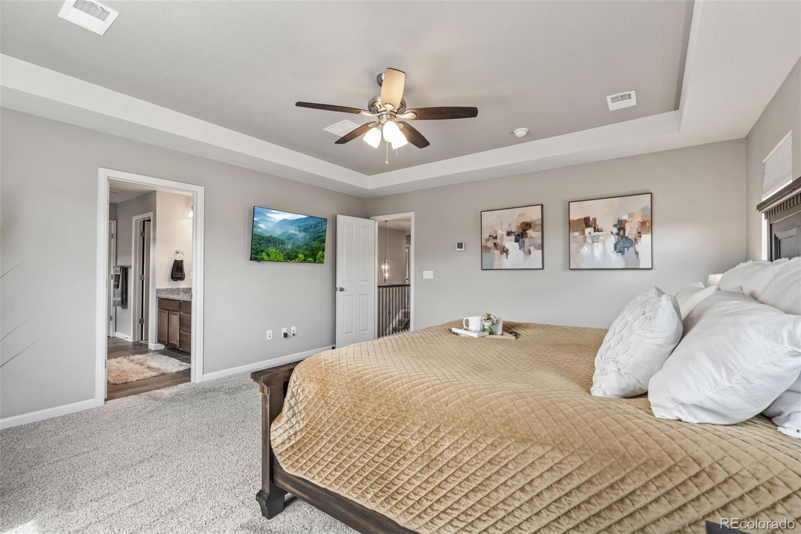 MLS Image #12 for 1414  castle creek circle,castle rock, Colorado