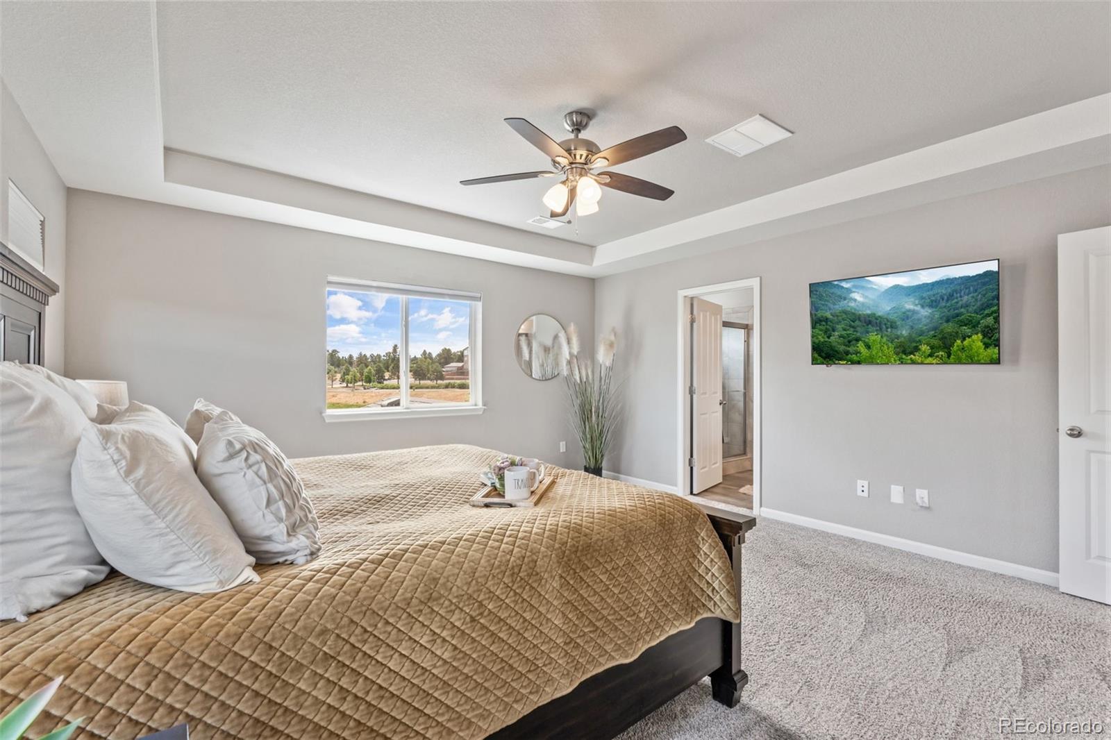 MLS Image #13 for 1414  castle creek circle,castle rock, Colorado