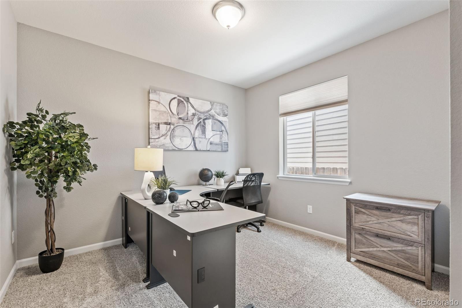 MLS Image #6 for 1414  castle creek circle,castle rock, Colorado
