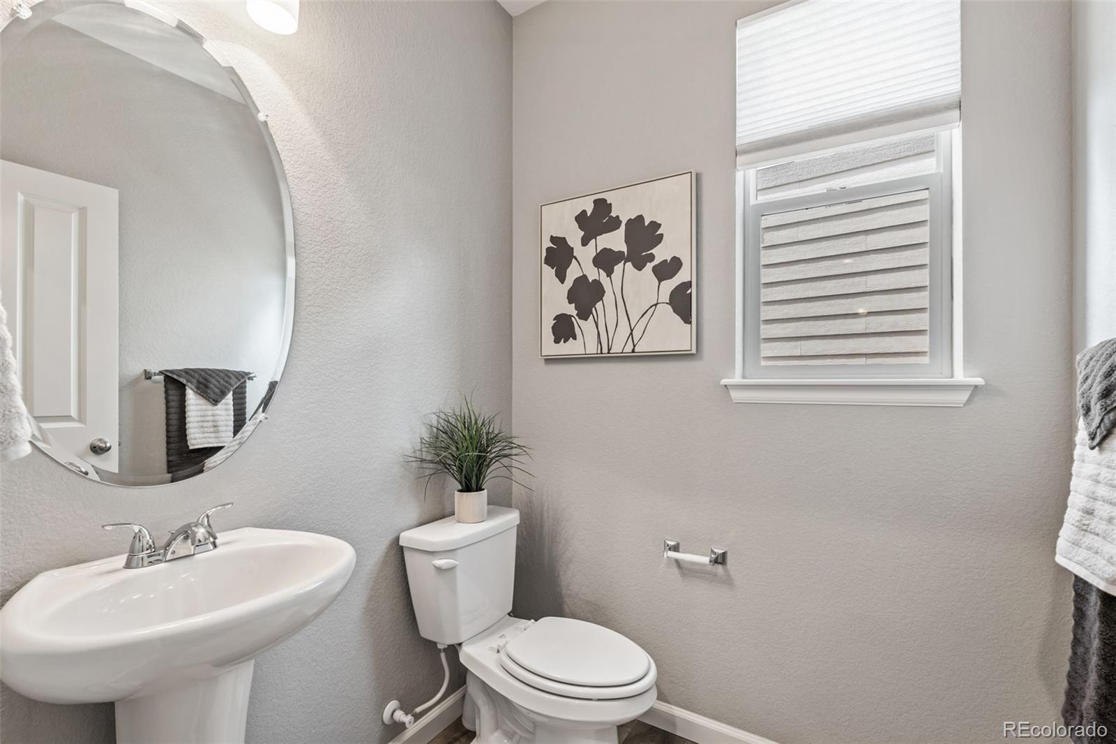 MLS Image #7 for 1414  castle creek circle,castle rock, Colorado