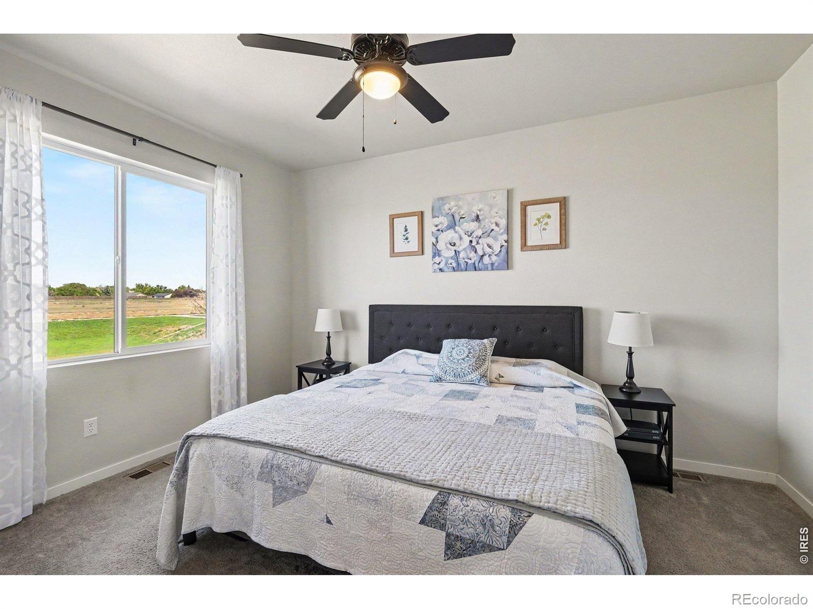 MLS Image #11 for 7467  horsechestnut street,wellington, Colorado