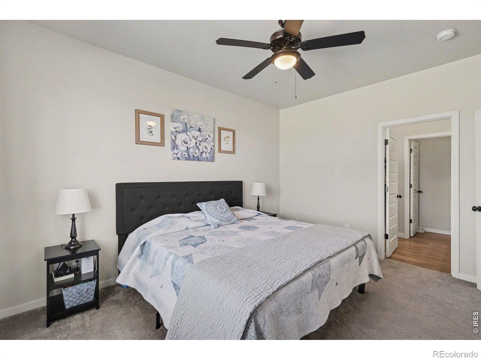 MLS Image #12 for 7467  horsechestnut street,wellington, Colorado