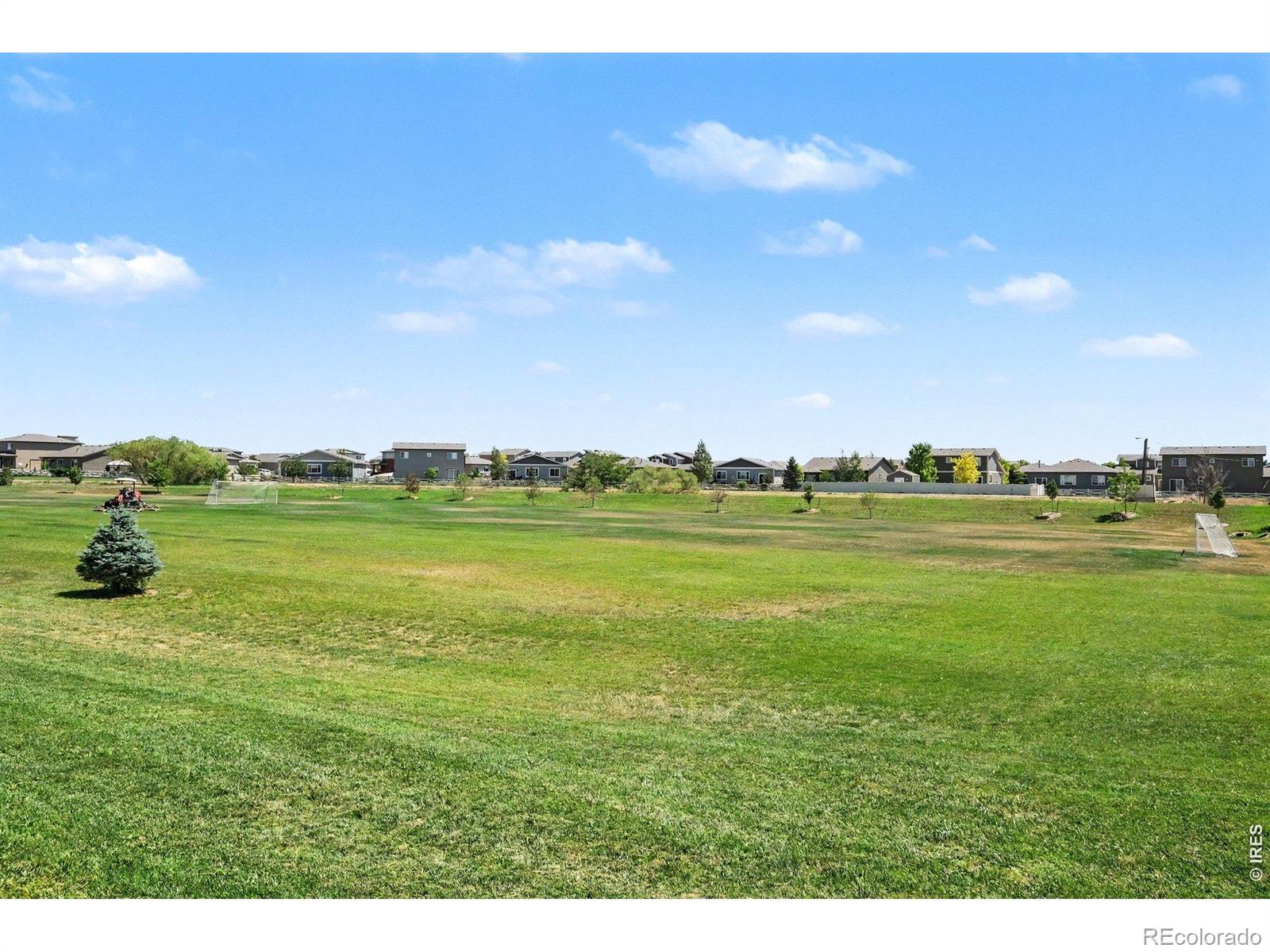 MLS Image #34 for 7467  horsechestnut street,wellington, Colorado