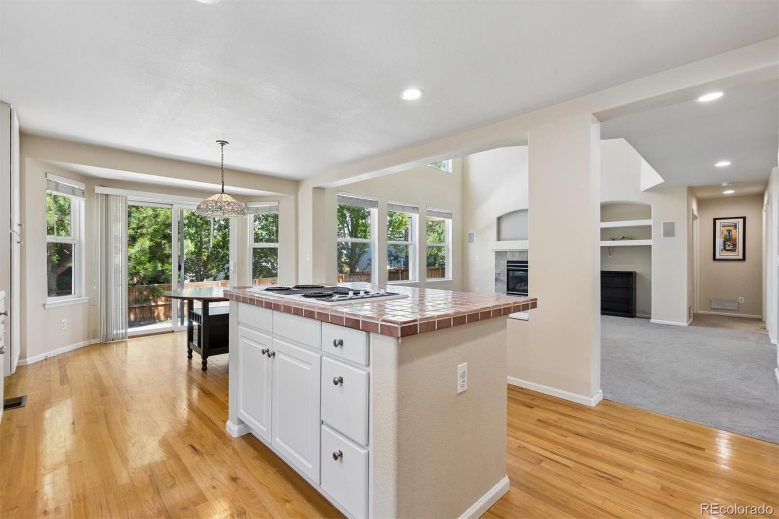 MLS Image #11 for 5725  glenstone drive,littleton, Colorado
