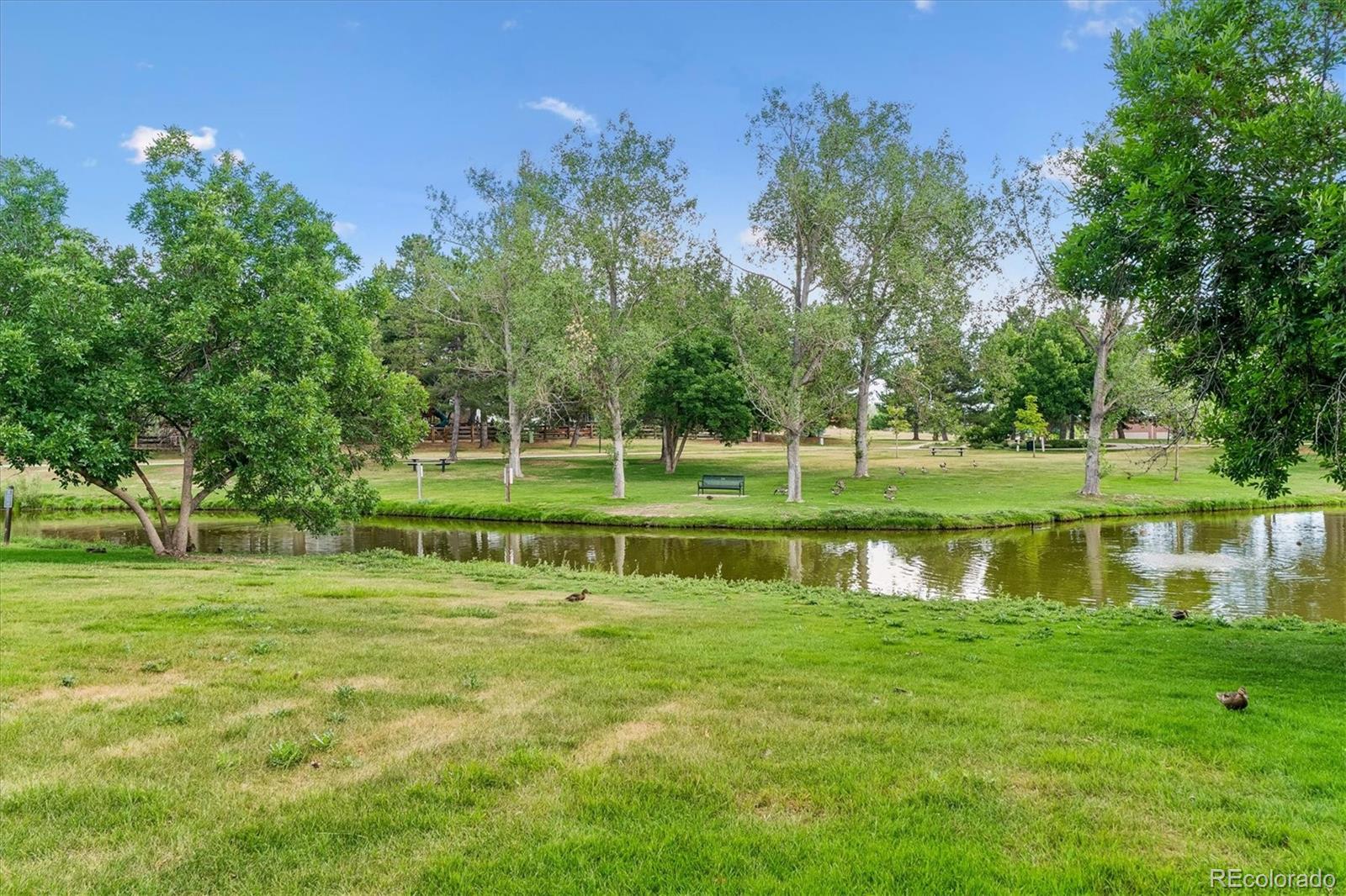 MLS Image #2 for 10417  red mountain,littleton, Colorado