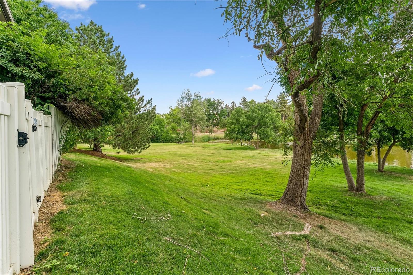 MLS Image #26 for 10417  red mountain,littleton, Colorado