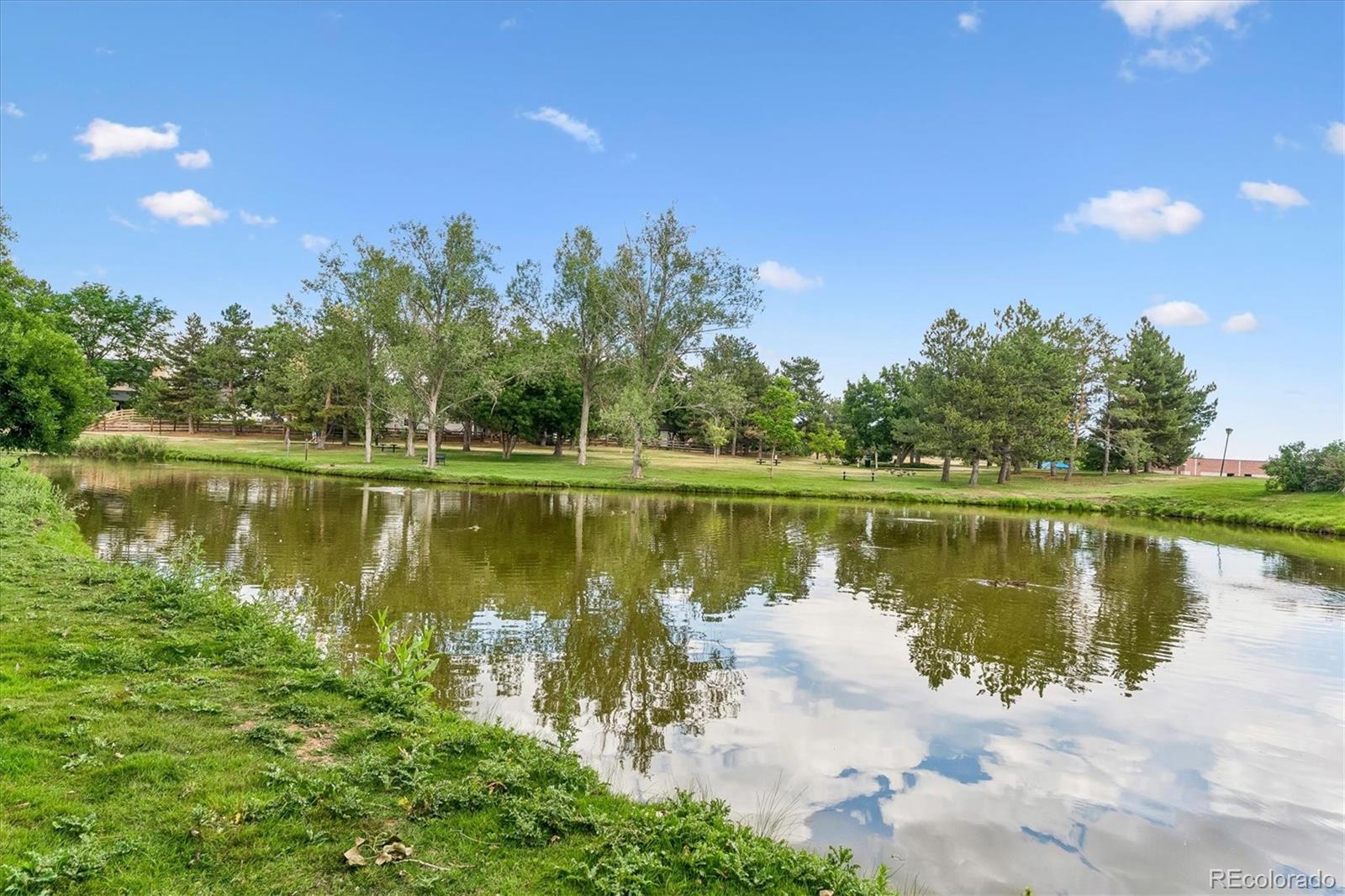 MLS Image #27 for 10417  red mountain,littleton, Colorado