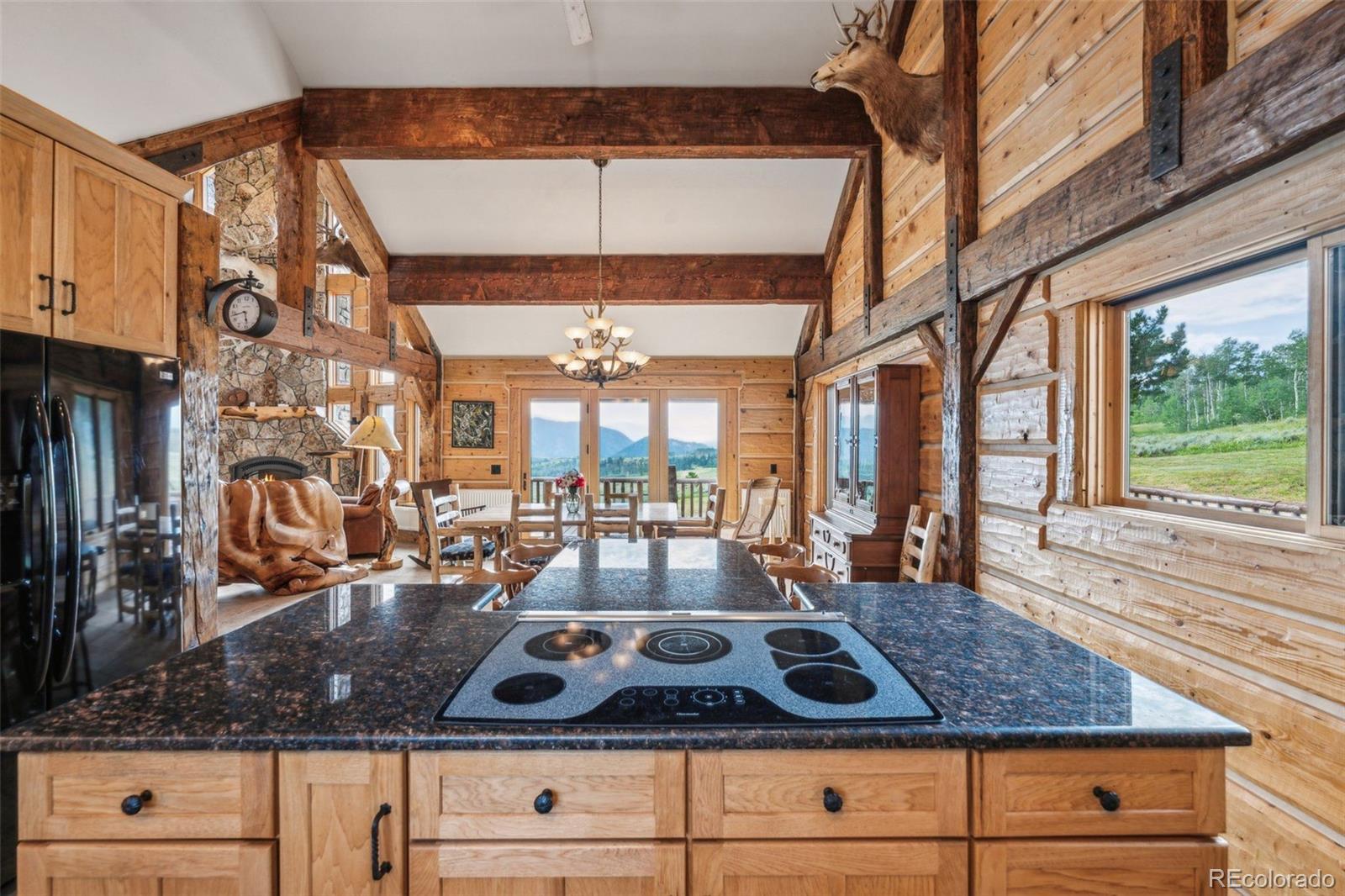 MLS Image #15 for 733  spring creek ranch road,silverthorne, Colorado