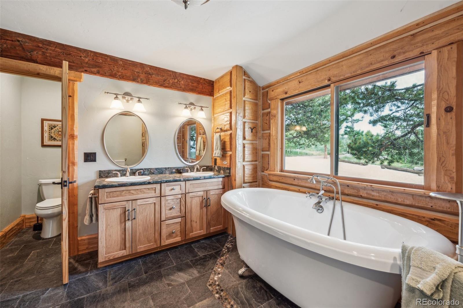 MLS Image #18 for 733  spring creek ranch road,silverthorne, Colorado