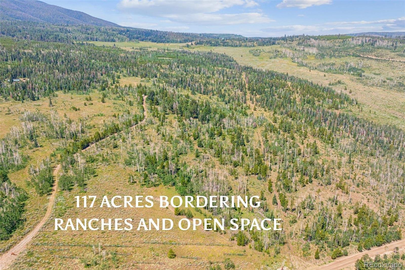 MLS Image #2 for 733  spring creek ranch road,silverthorne, Colorado