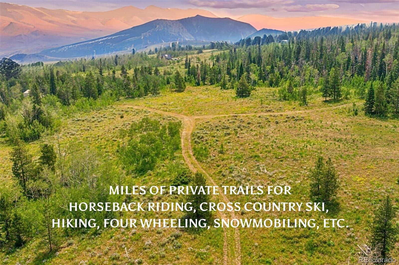 MLS Image #3 for 733  spring creek ranch road,silverthorne, Colorado